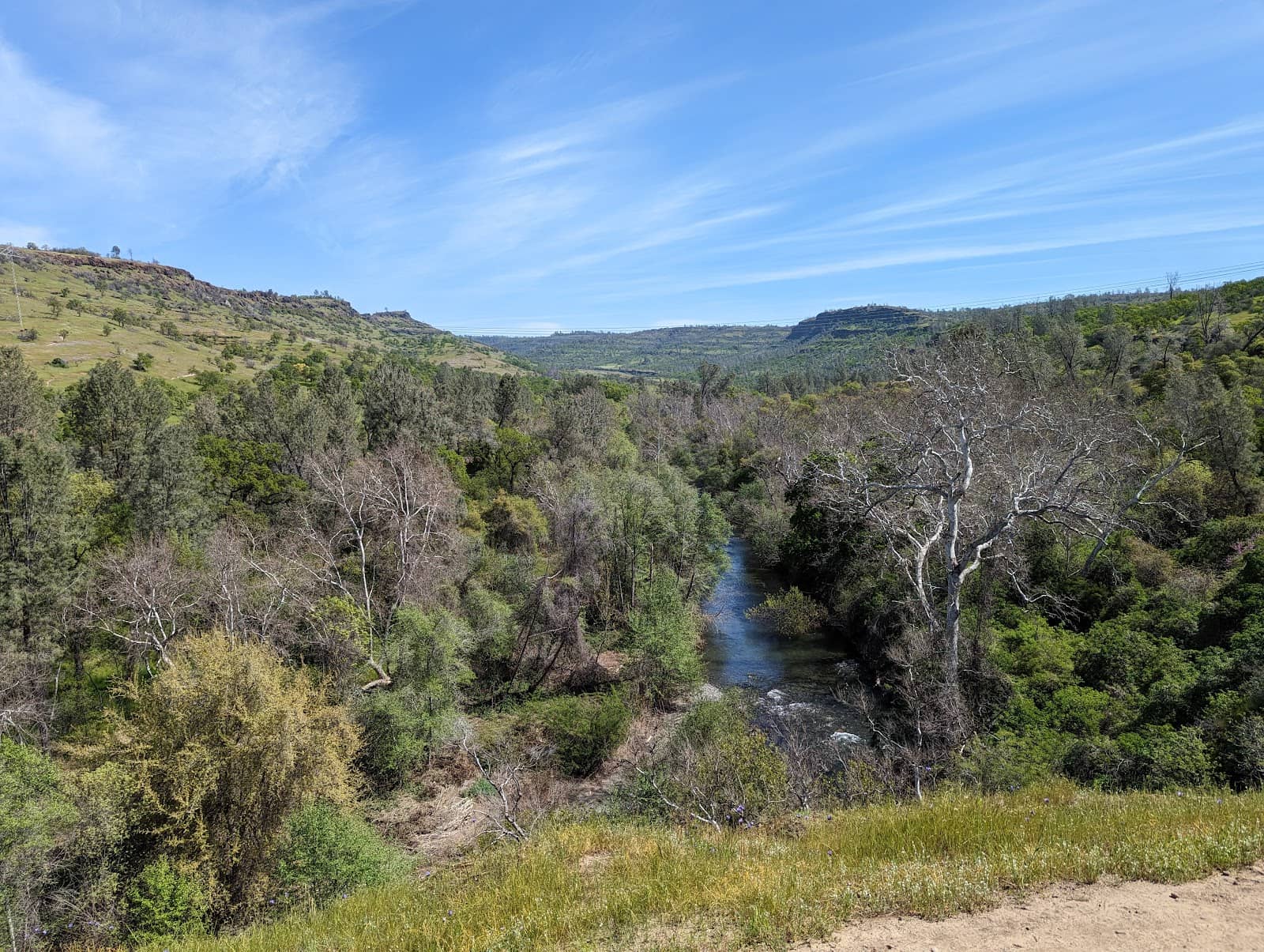 Bird Watching Opportunities