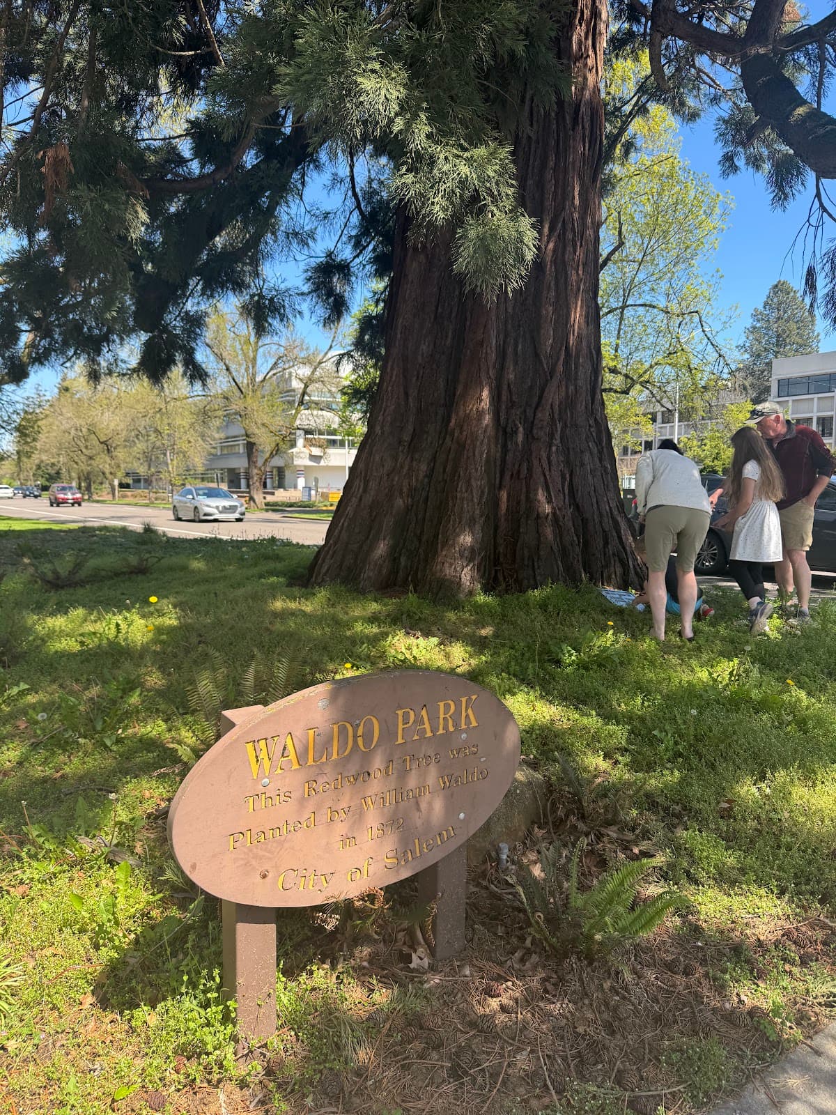Waldo Park - Image 1