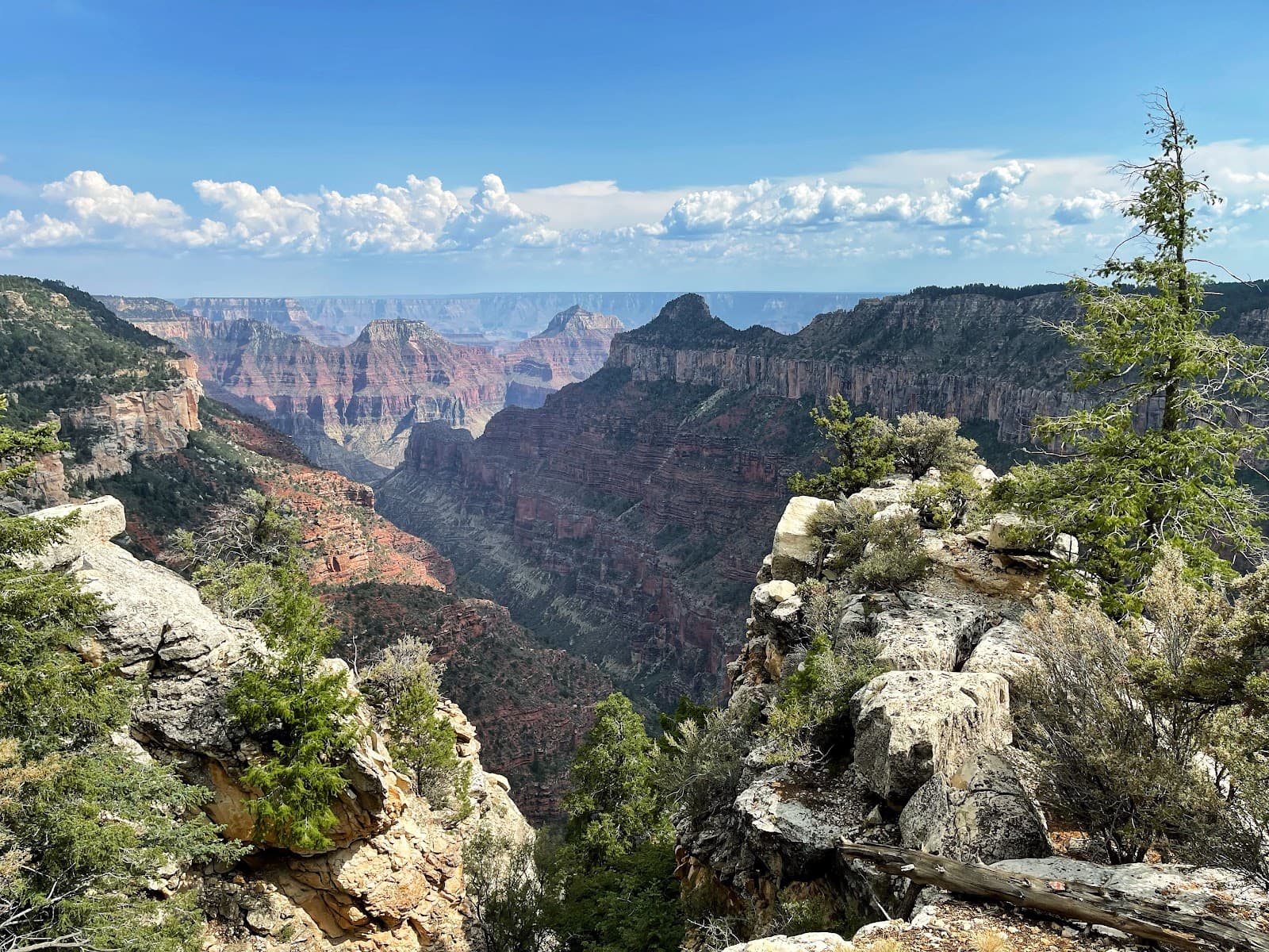 Widforss Trail - Image 1