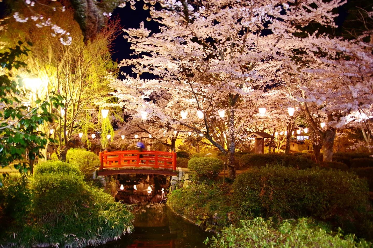 Utsubuki Park - Image 1