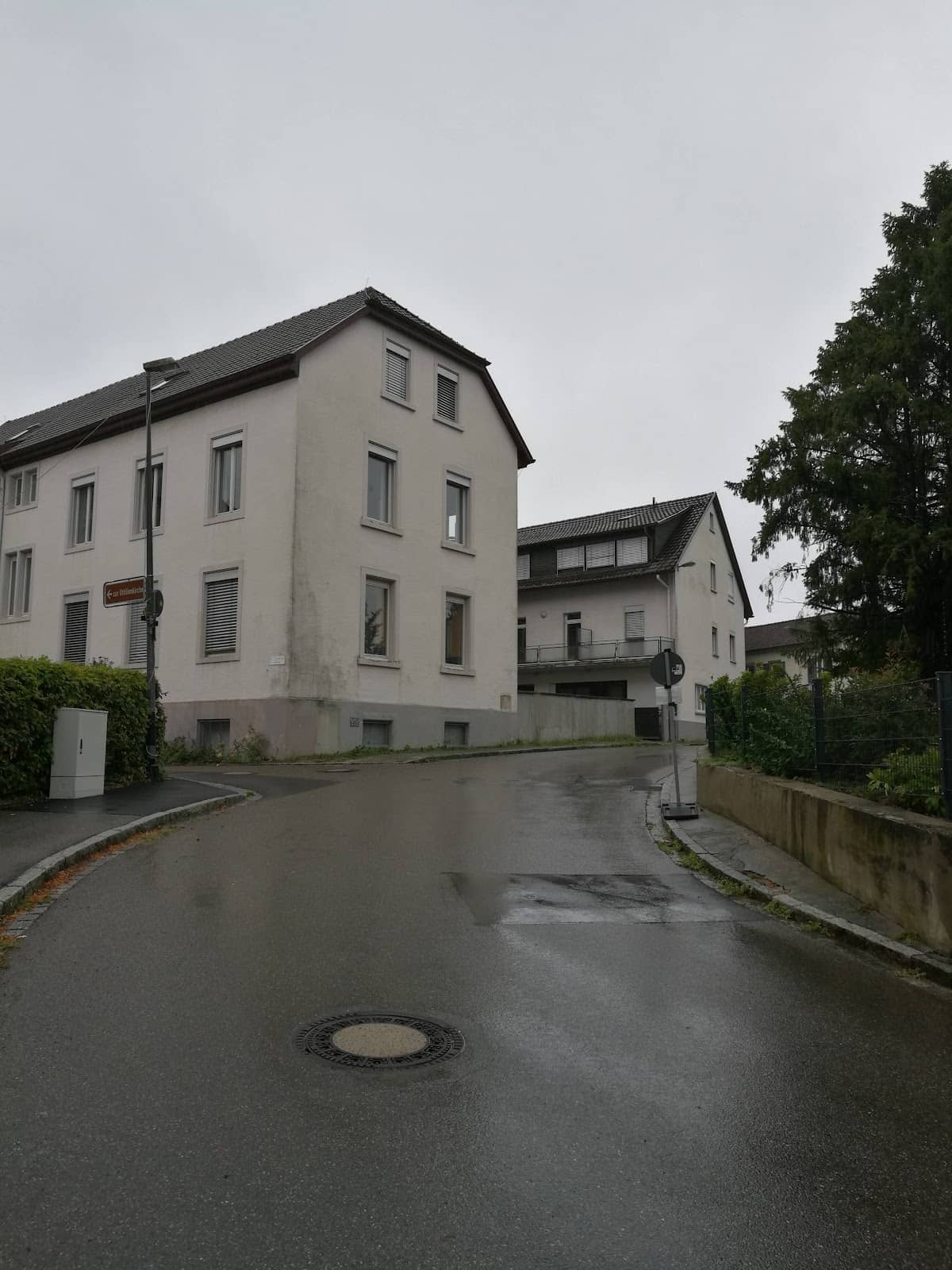 Green Spaces and Tree Care