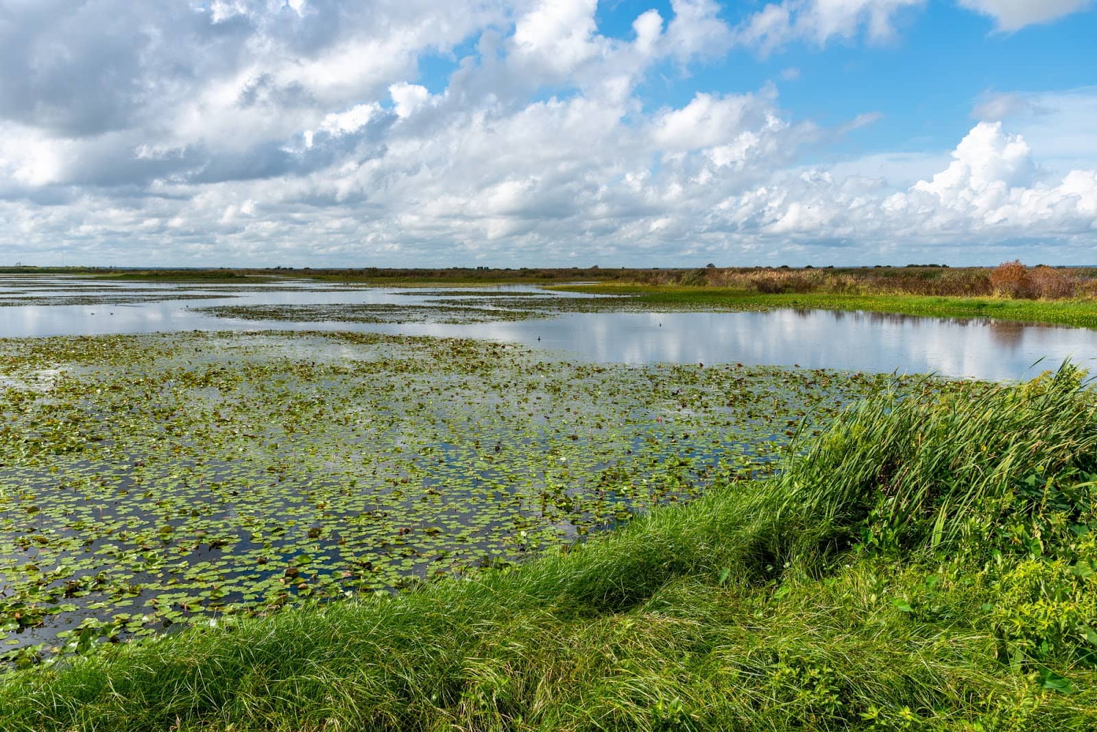 Birdwatching Paradise