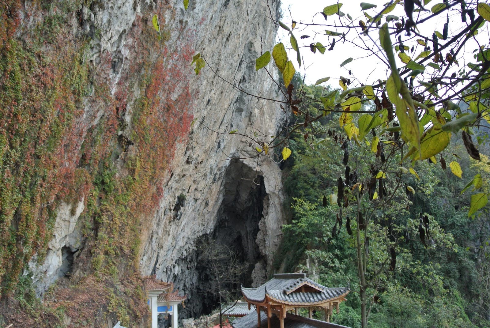 Dragon Palace (Longgong) - Image 1