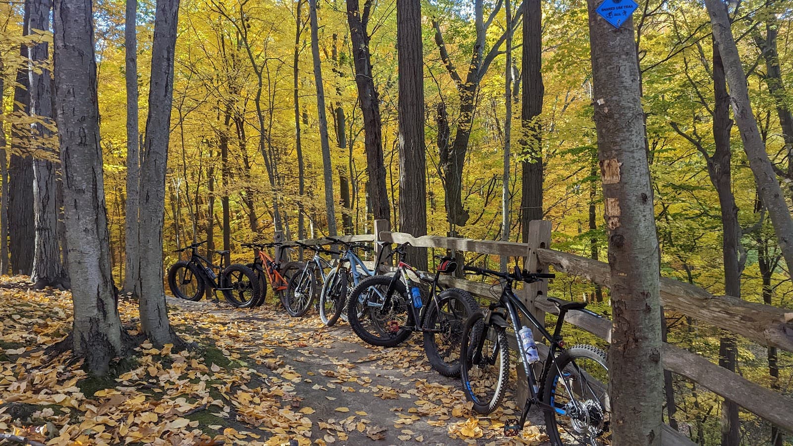 Irondequoit Bay Park West - Image 1