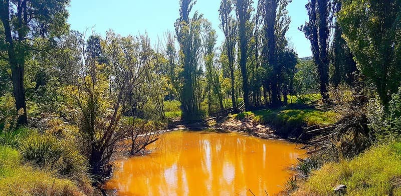 Art Galleries & Festivals