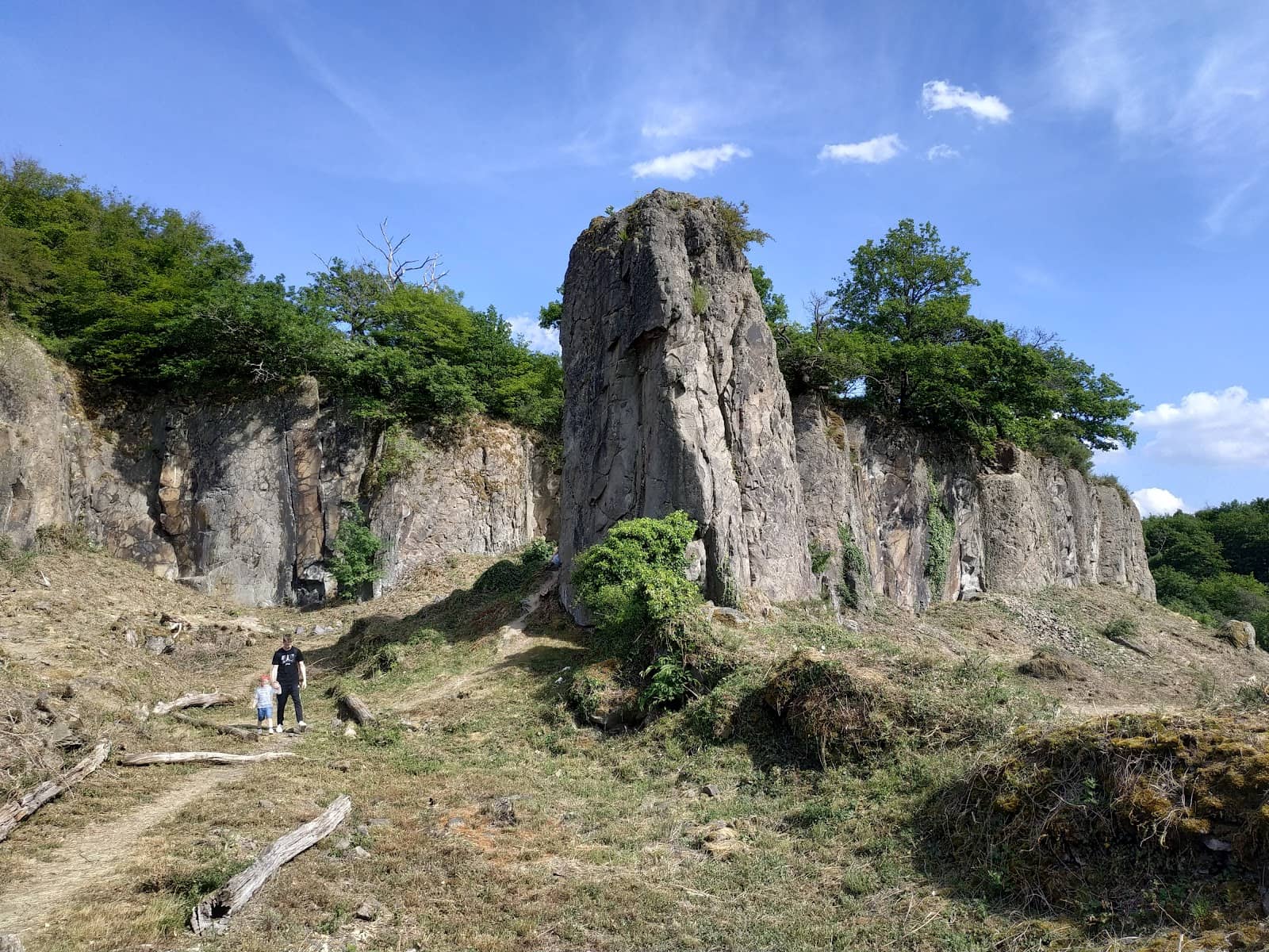 Tranquil Nature Trails