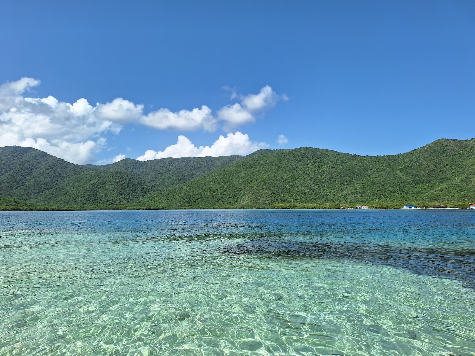 La Ciénaga de Ocumare - Image 1