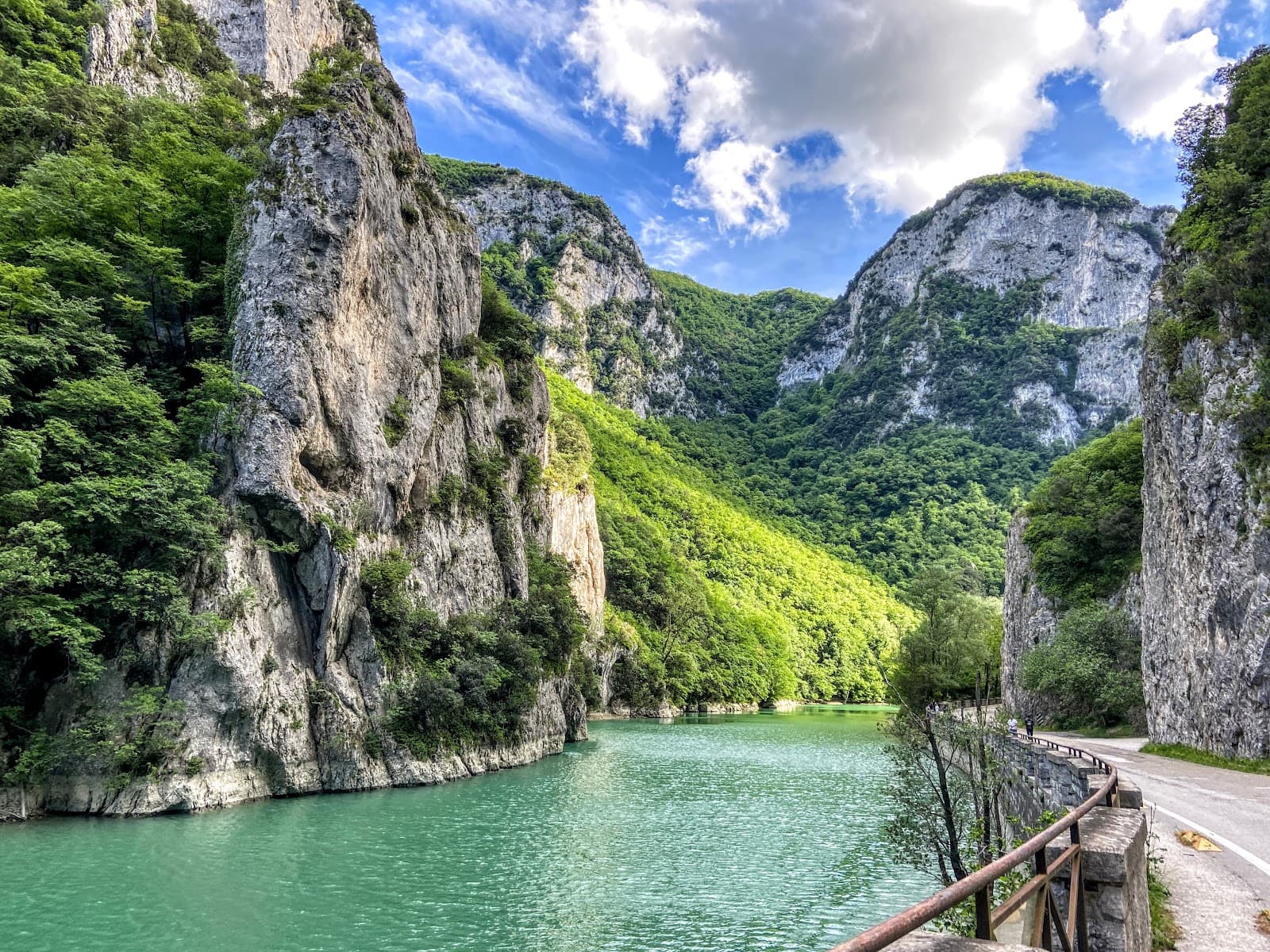 Furlo Gorge Nature Reserve - Image 1