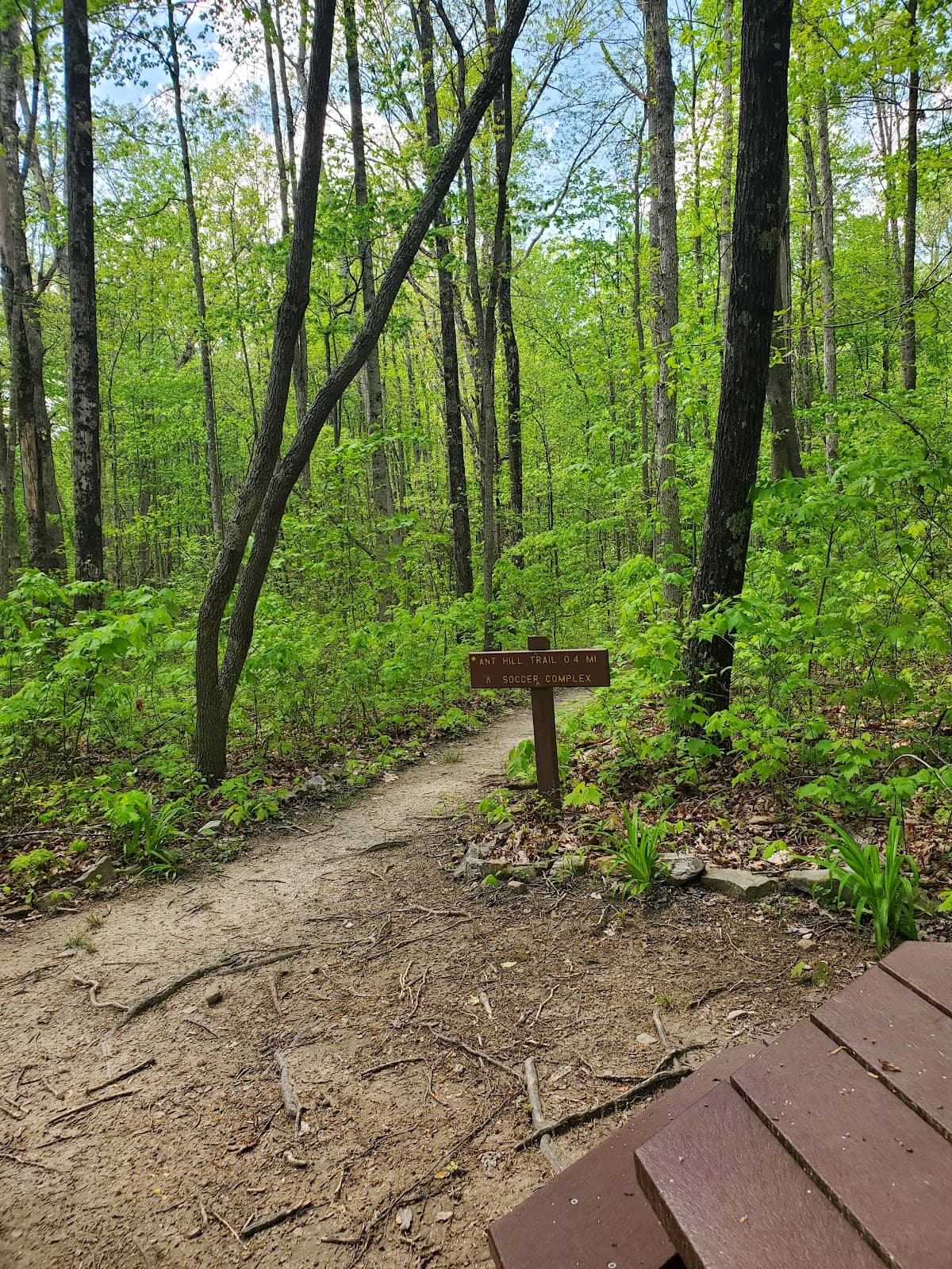 McManus Trail - Image 1