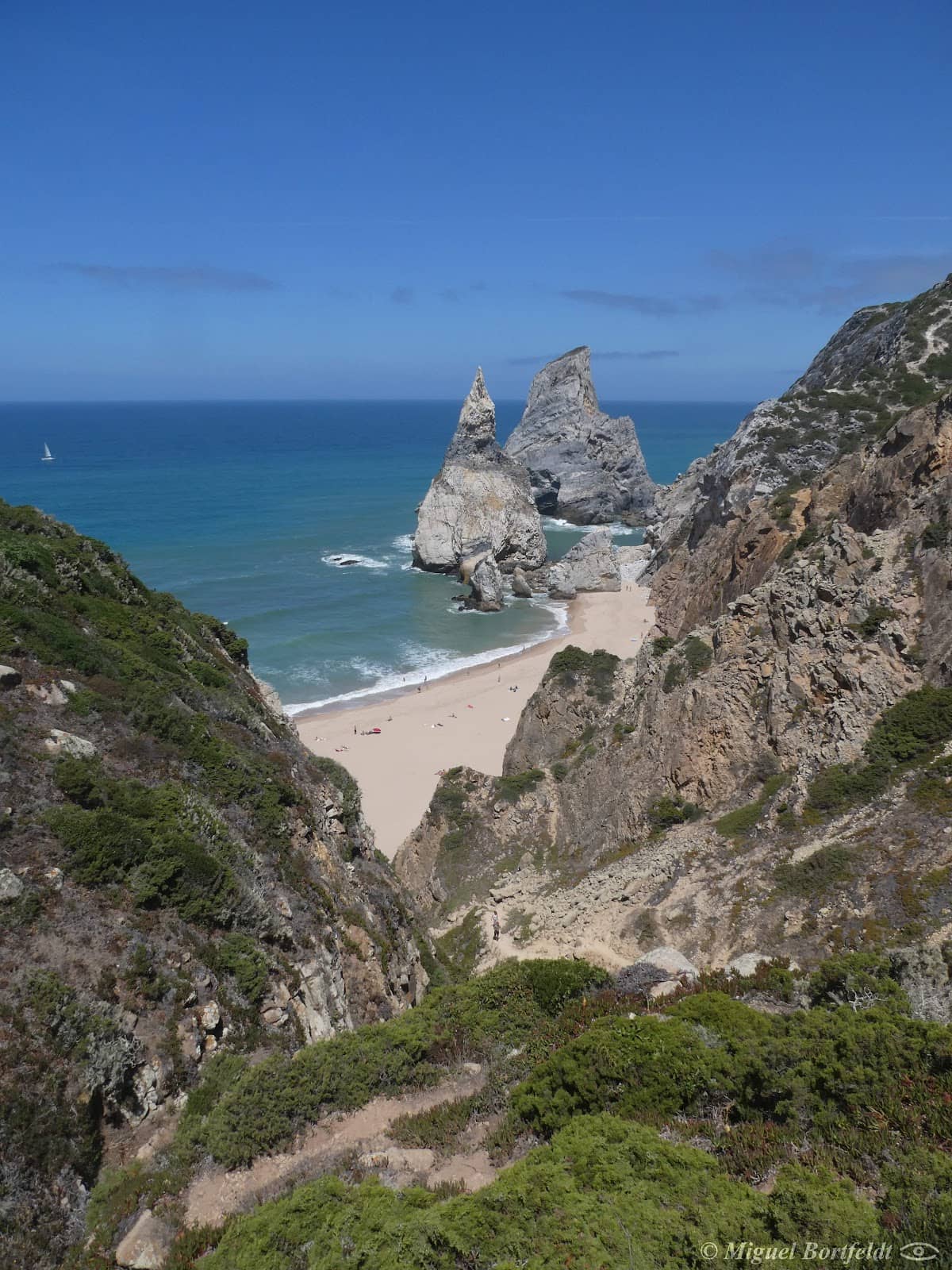 Coastal Trail Views