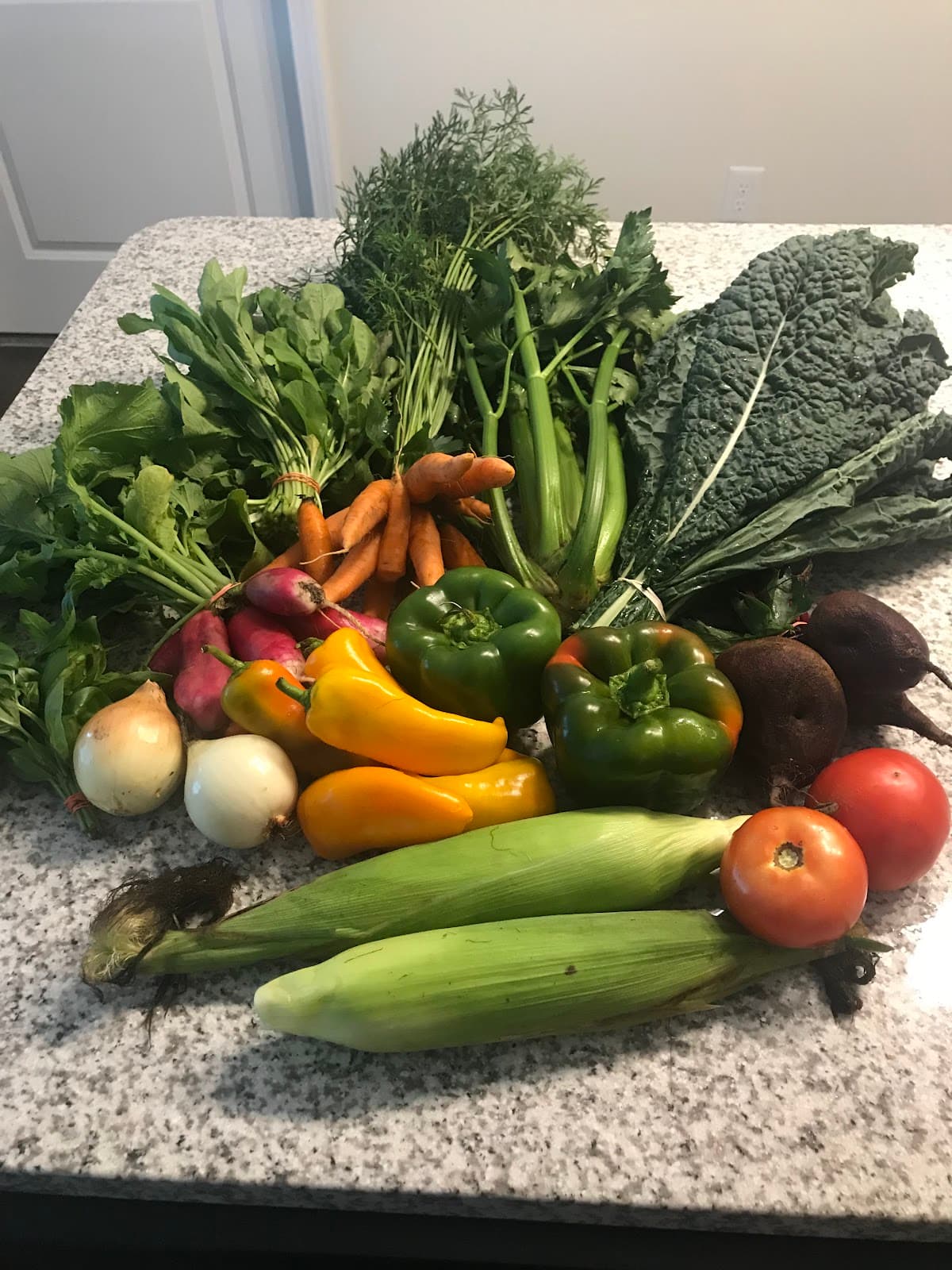 Hill Orchard - Image 1