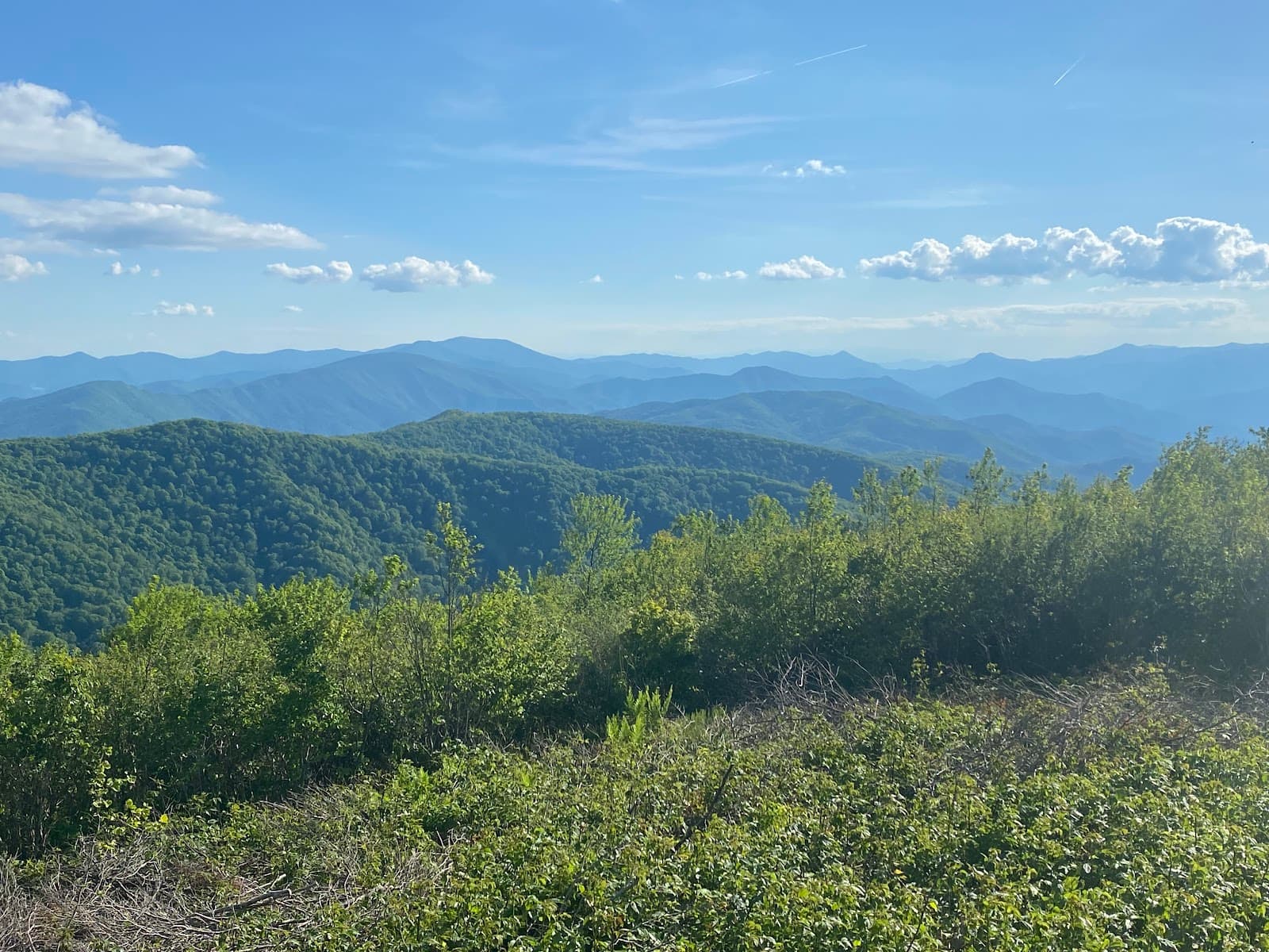 Unaka Mountain Scenic Road - Image 1