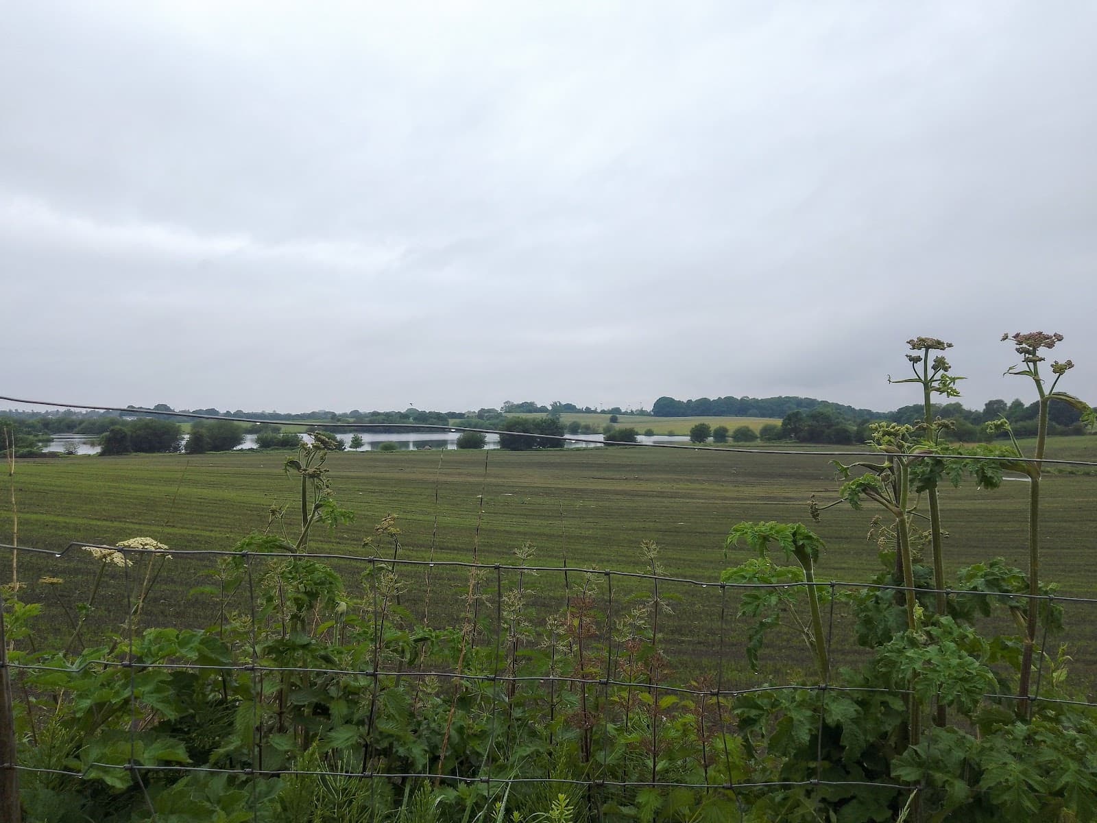 Rumworth Lodge Nature Reserve - Image 1