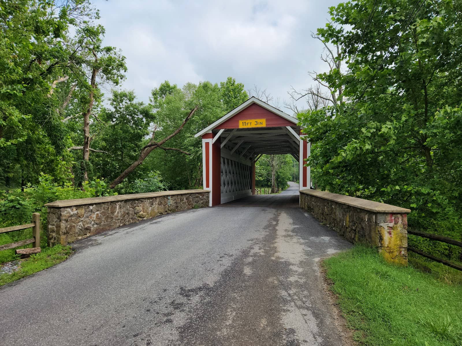 Picnic & Nature Spot