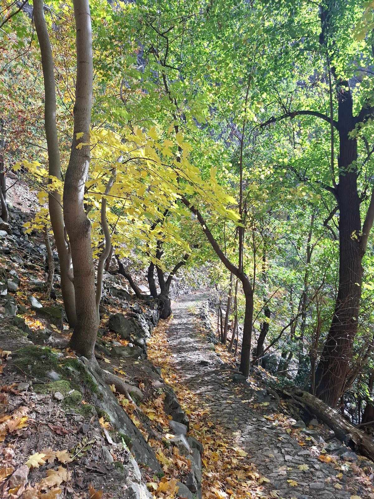 Die Schurre - Image 1