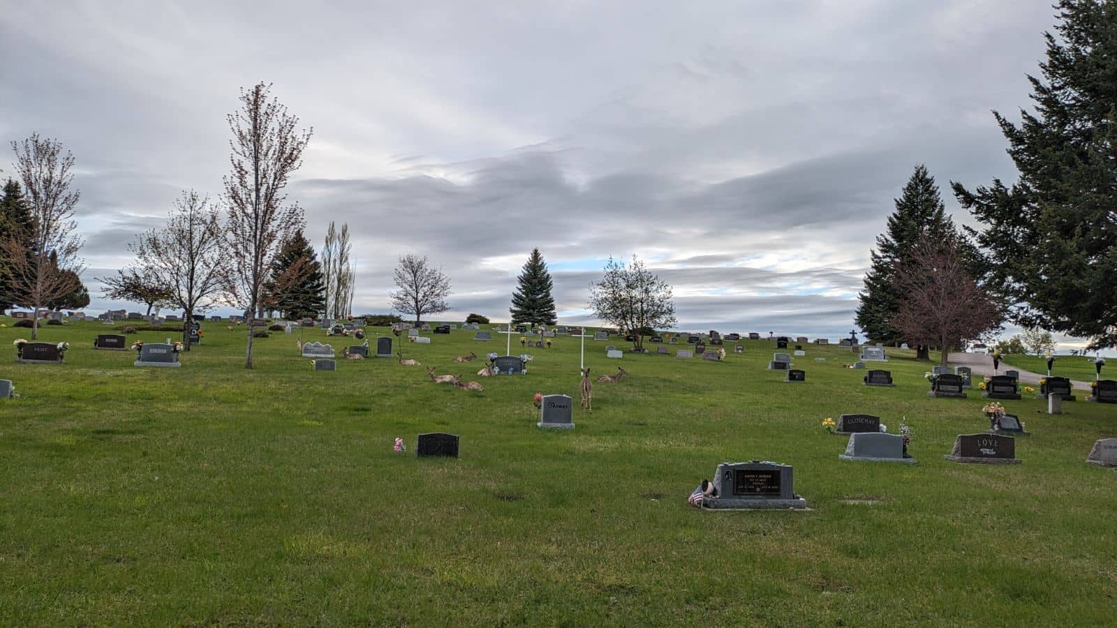 Generational Resting Place