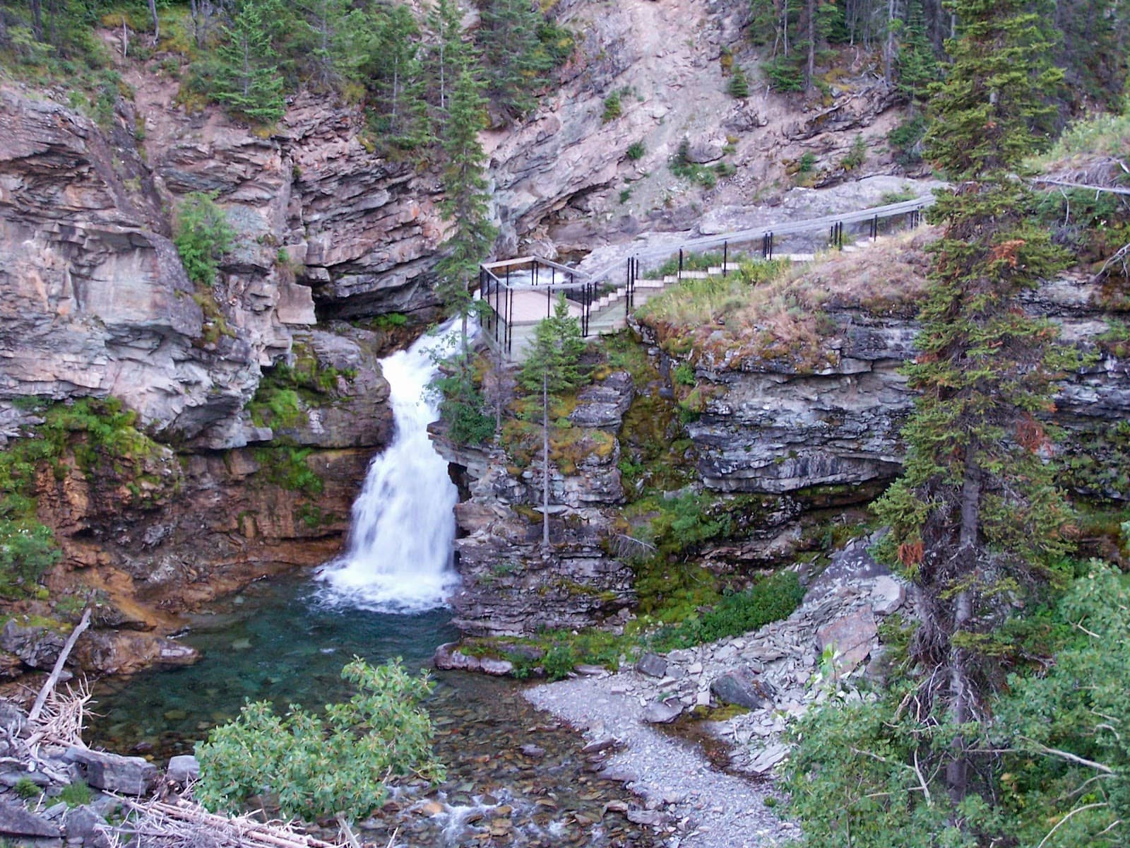 American Dipper Habitat