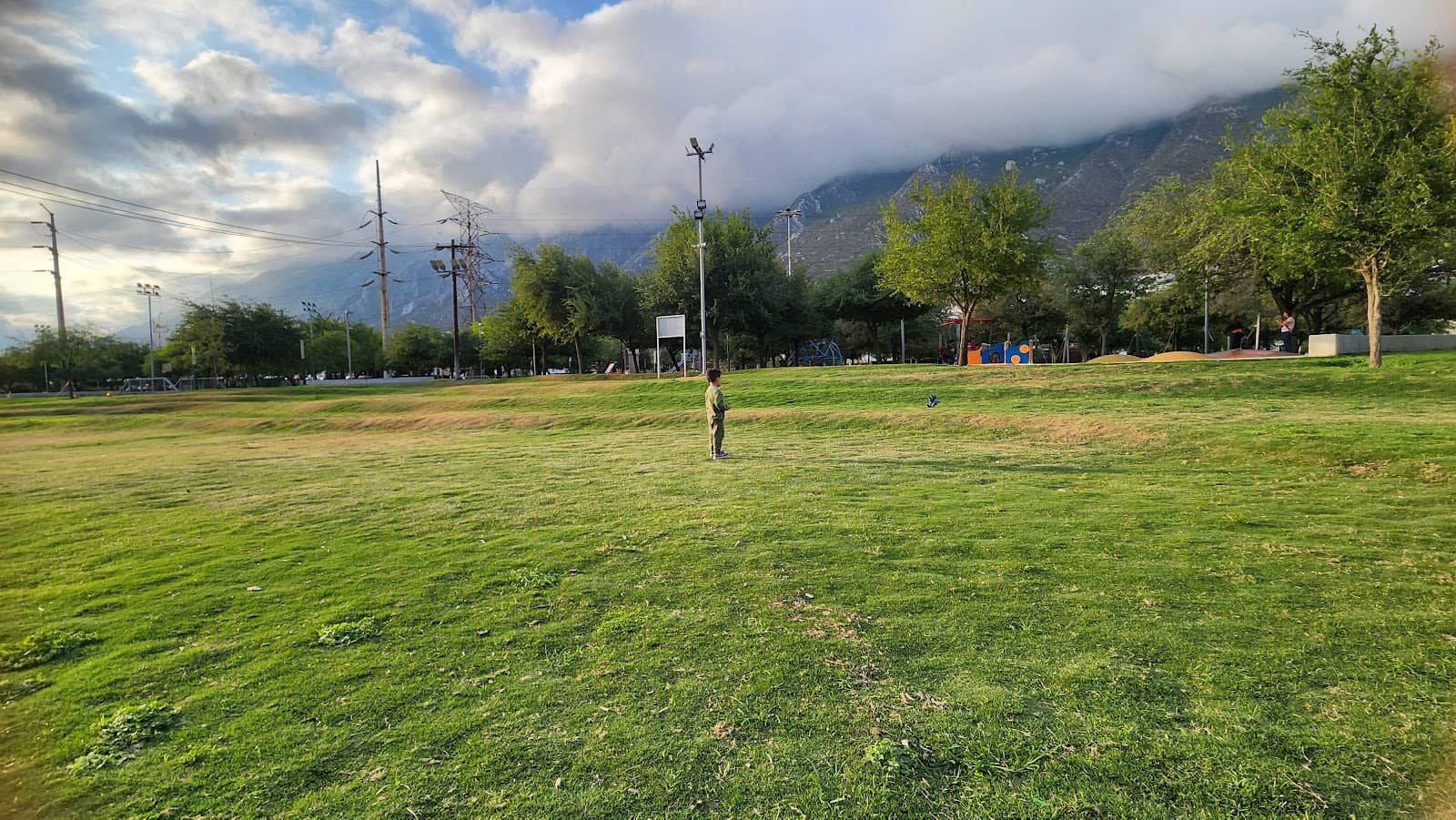 Dog-Friendly Walking Paths