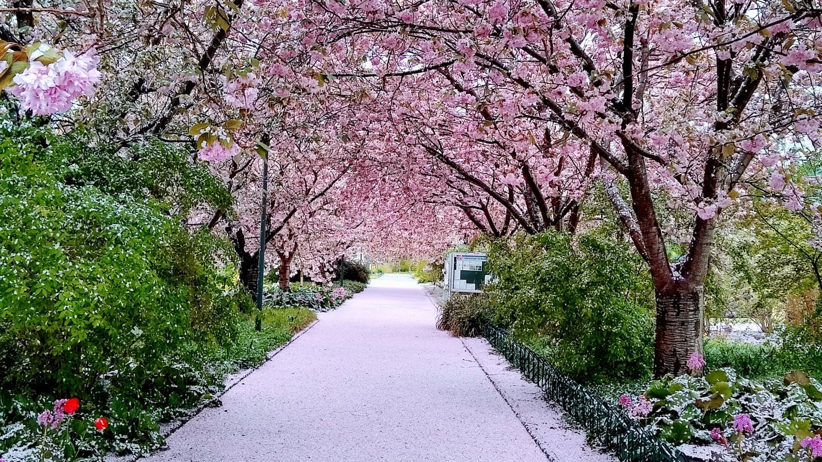 Themed Gardens & Art Installations