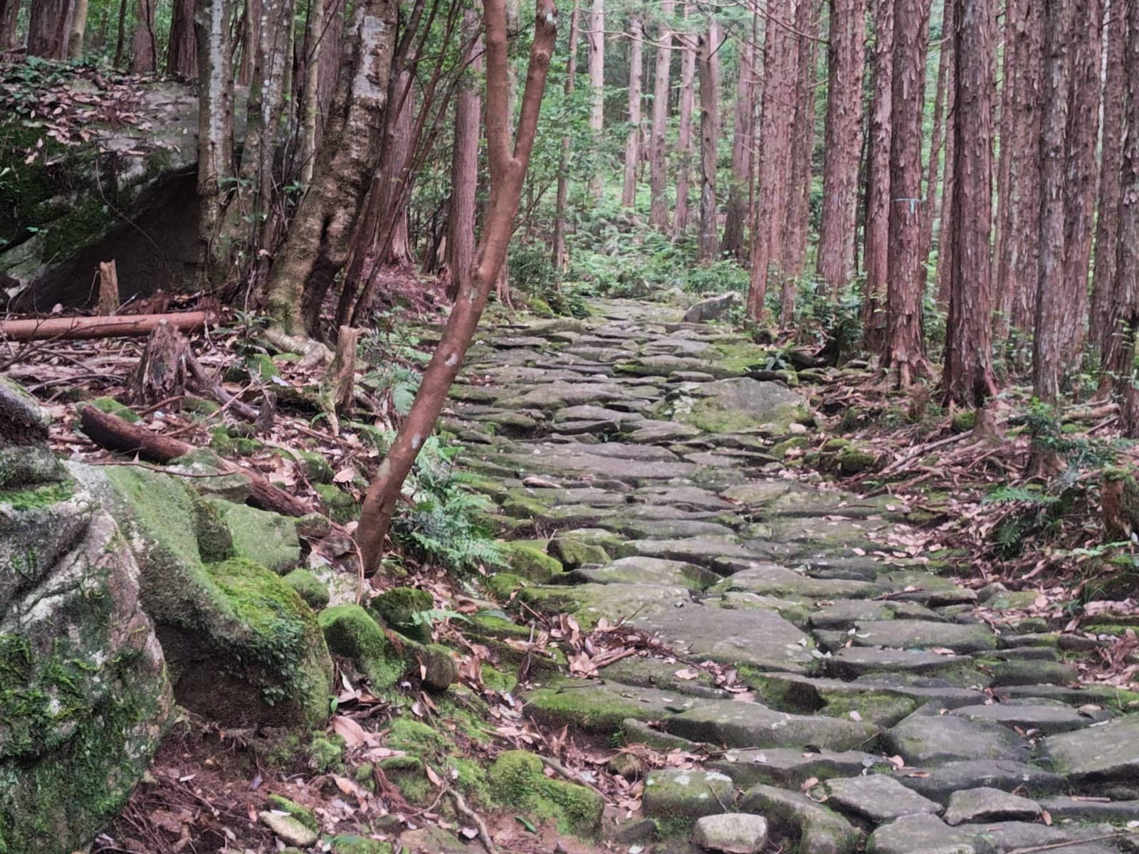 Jizo Statues & Stone Bridges