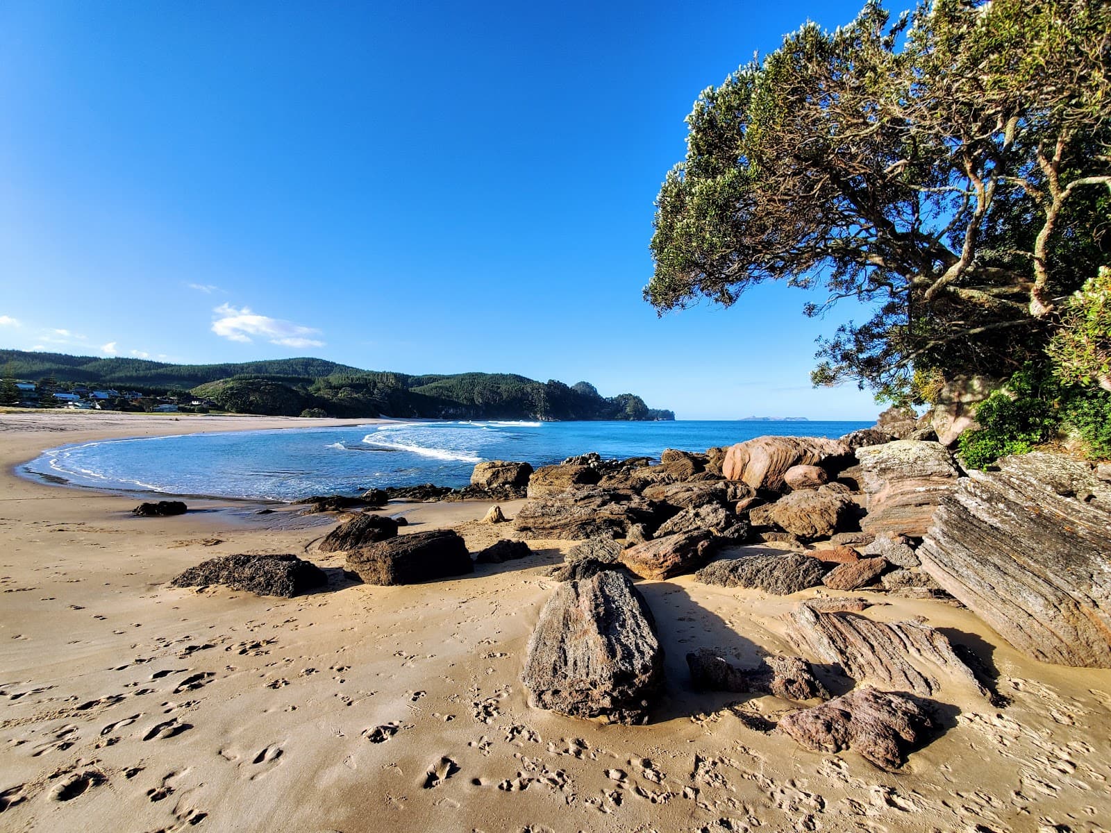 Onemana Headland Track - Image 1
