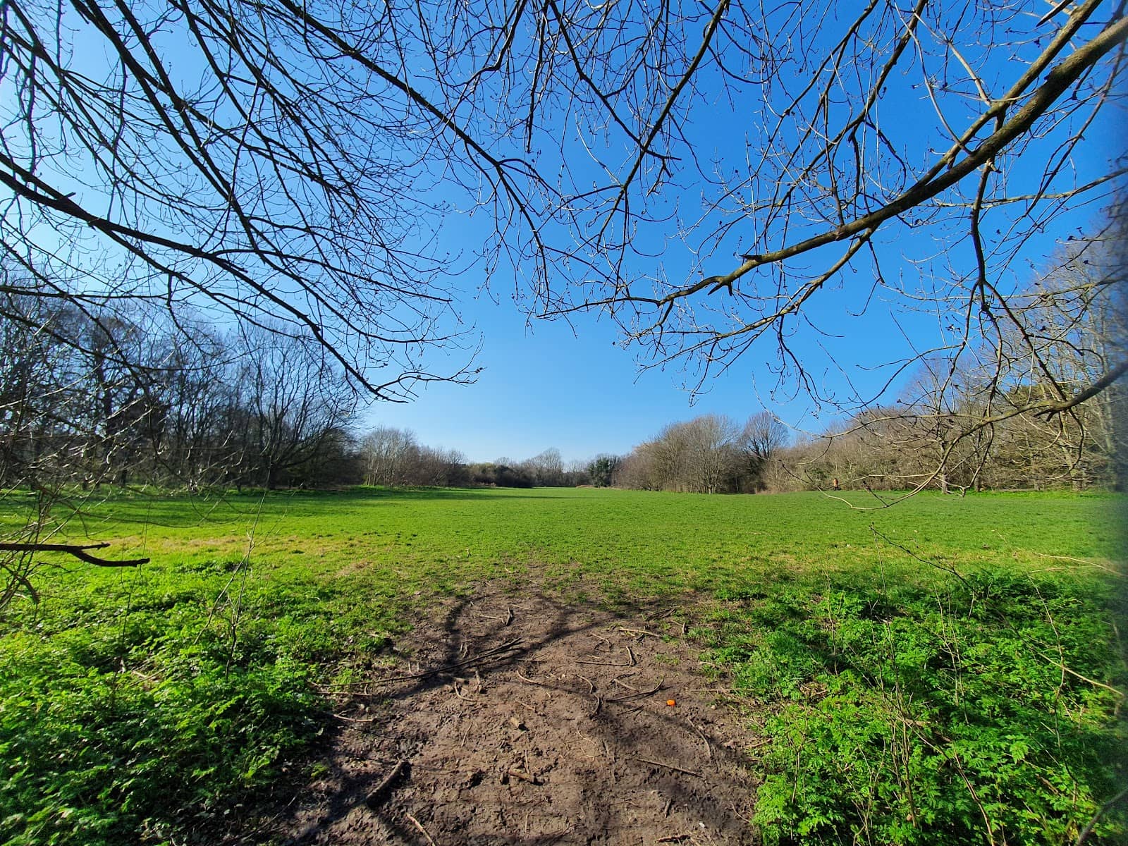 Seasonal Natural Beauty