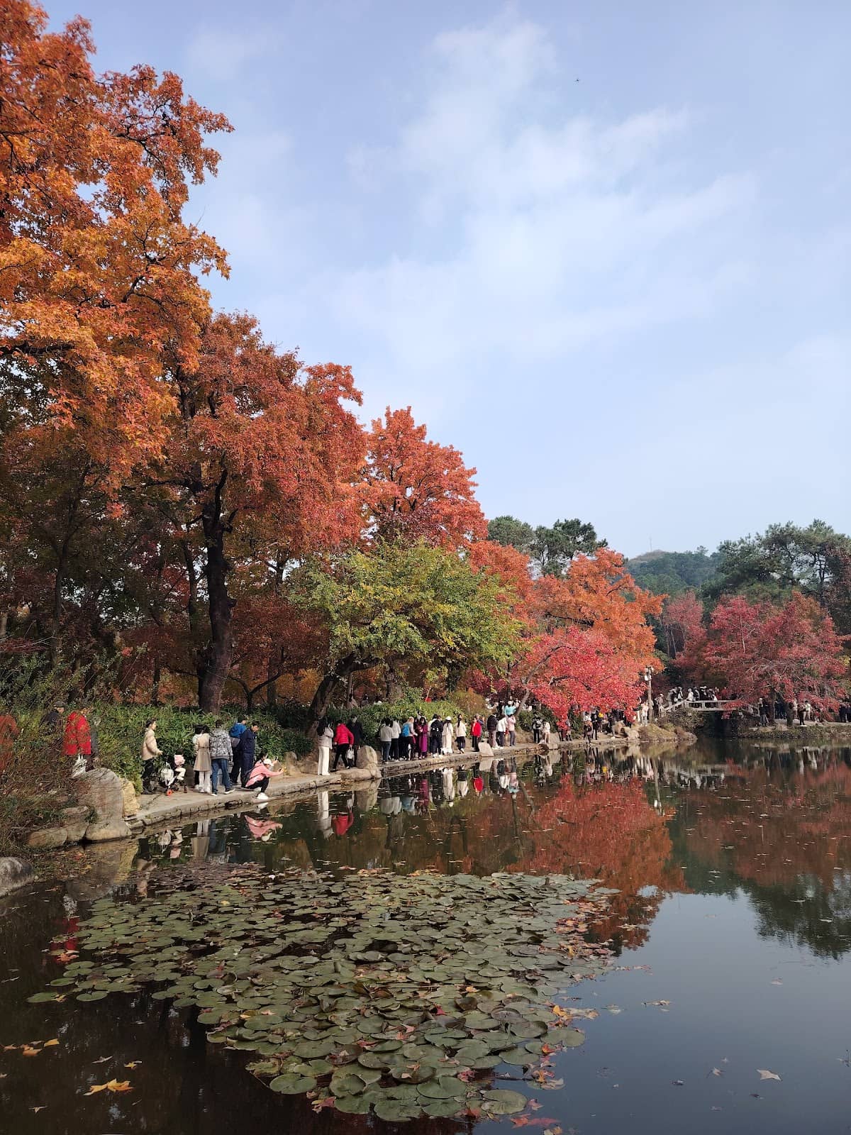Panoramic Suzhou Views