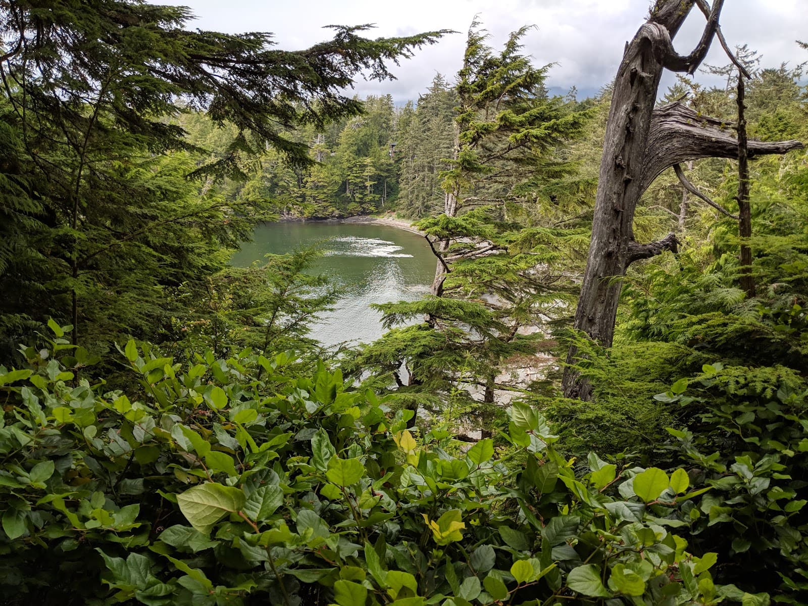 He-Tin-Kis Park Tofino - Image 1