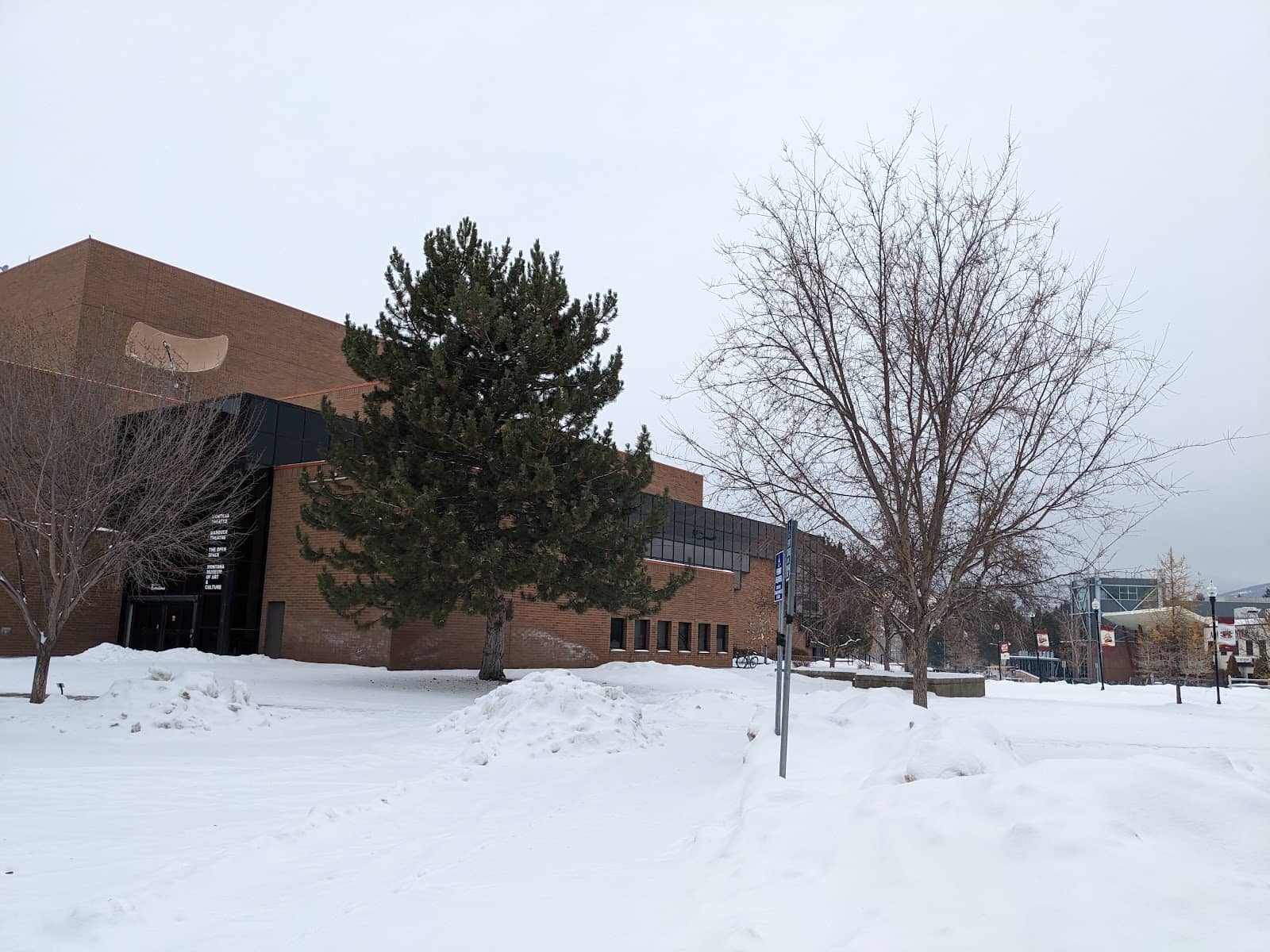 University Student & Local Artists