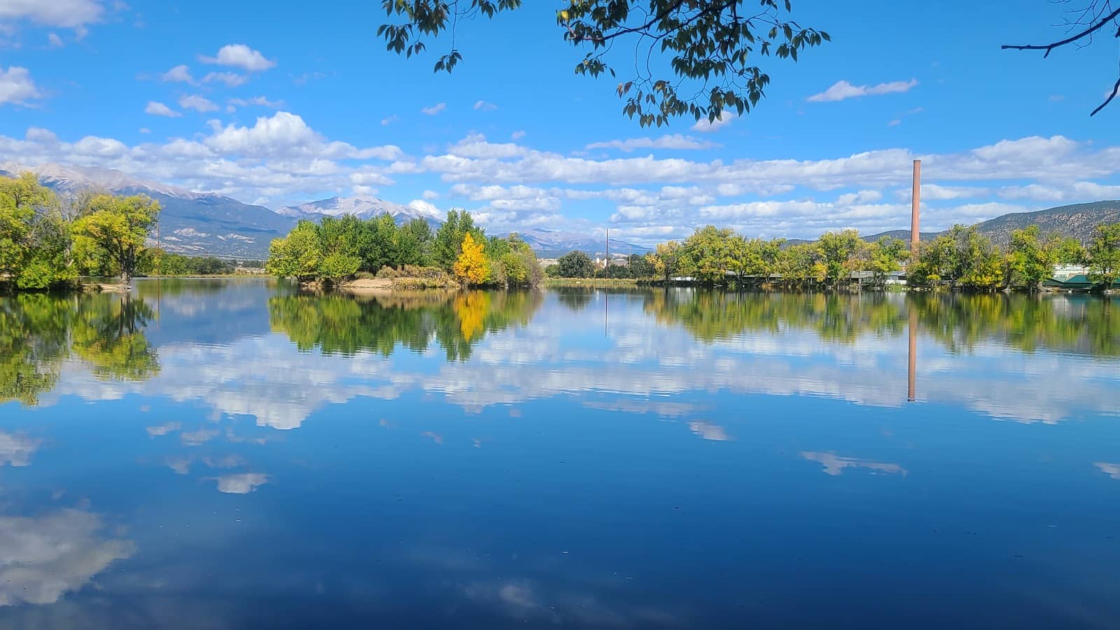 Waterfowl Wonderland