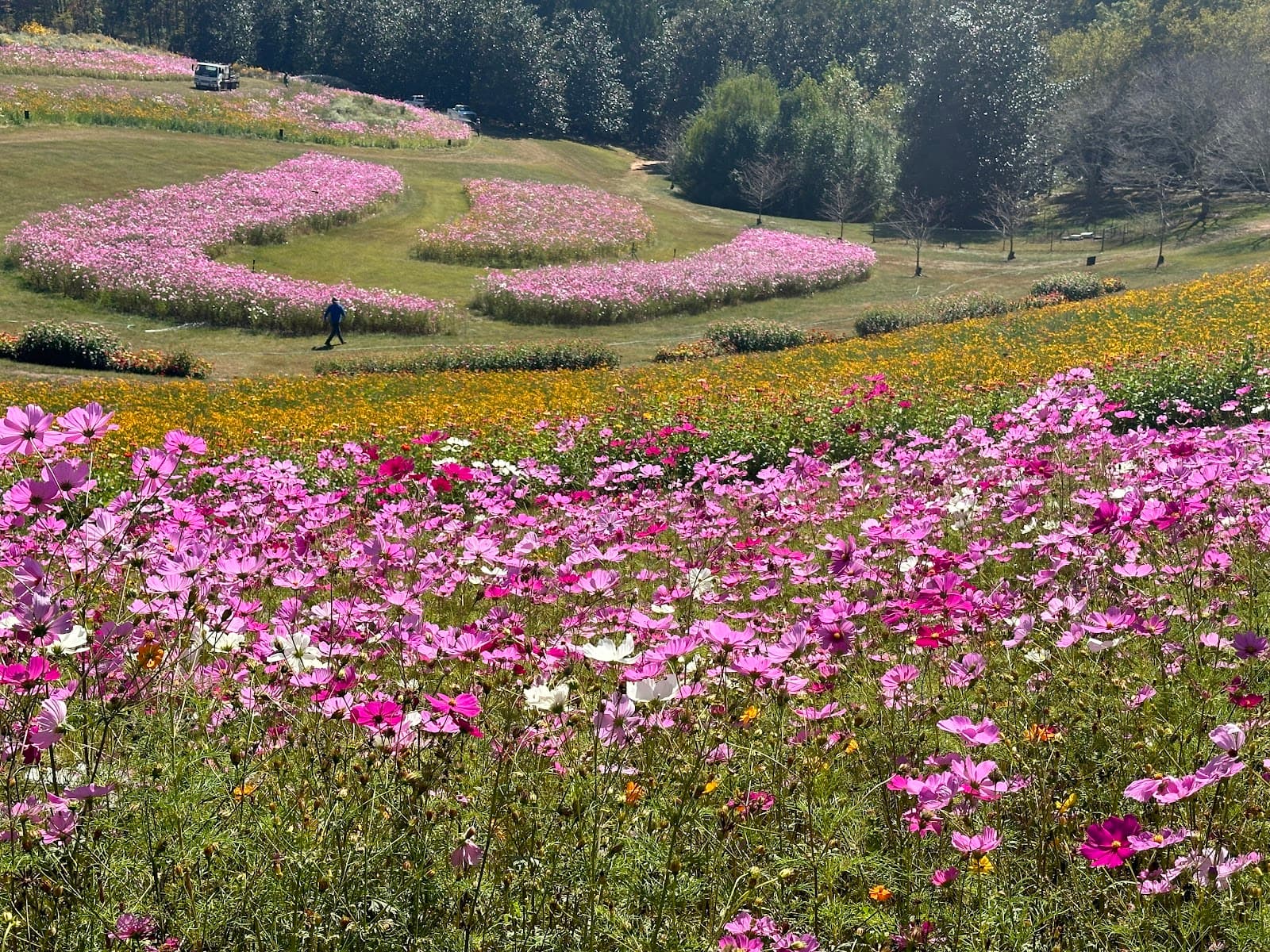 Gibbs Gardens - Image 1