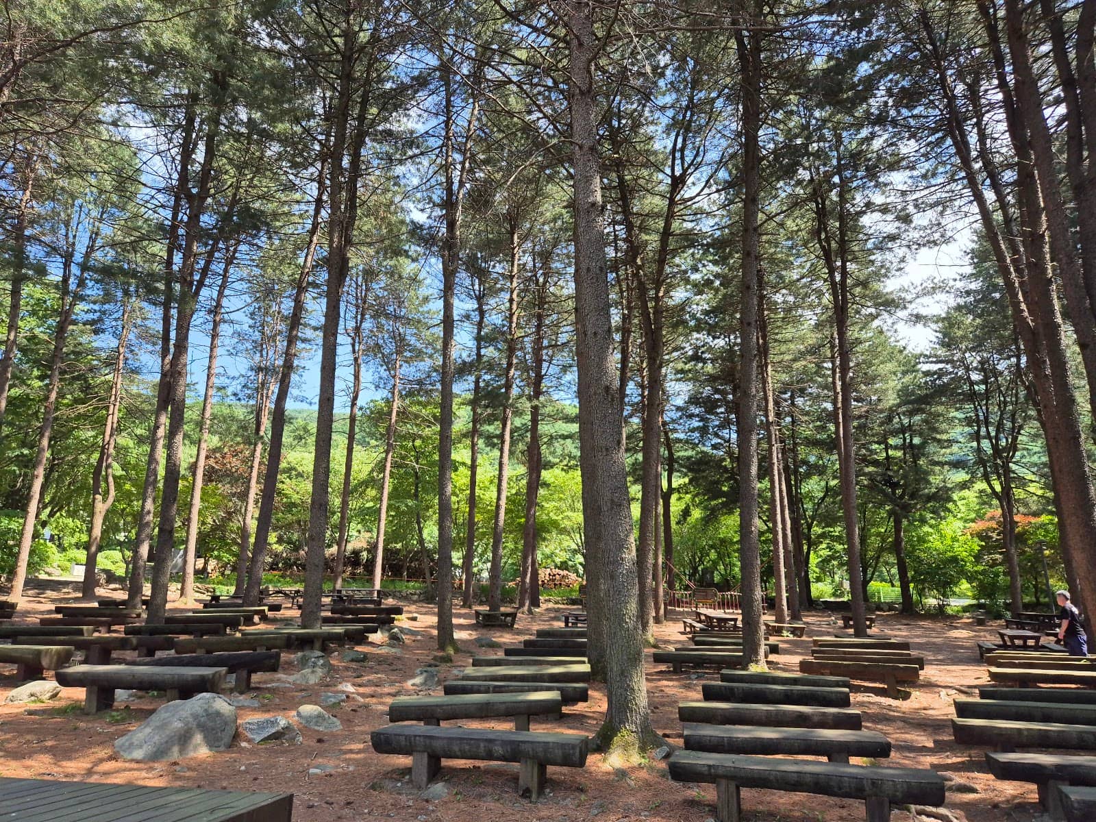 Adventurous Canyon Descent