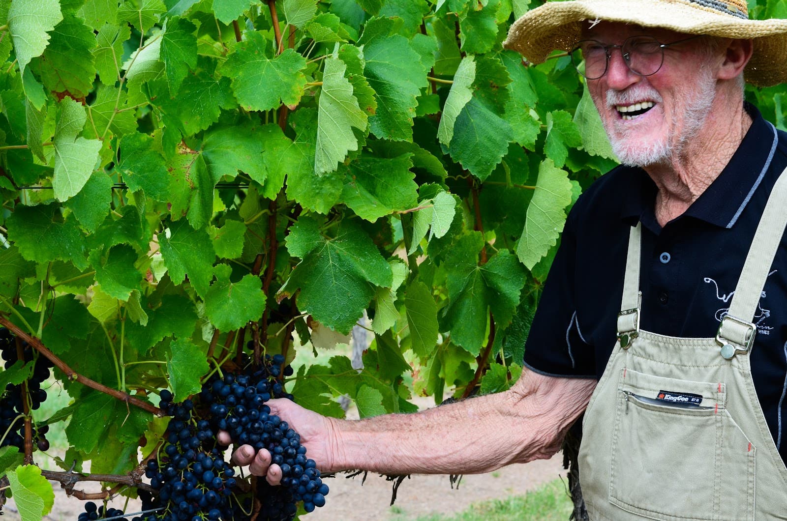 Tobin Wines - Image 1