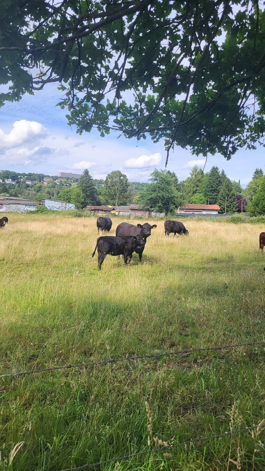 Seasonal Natural Beauty