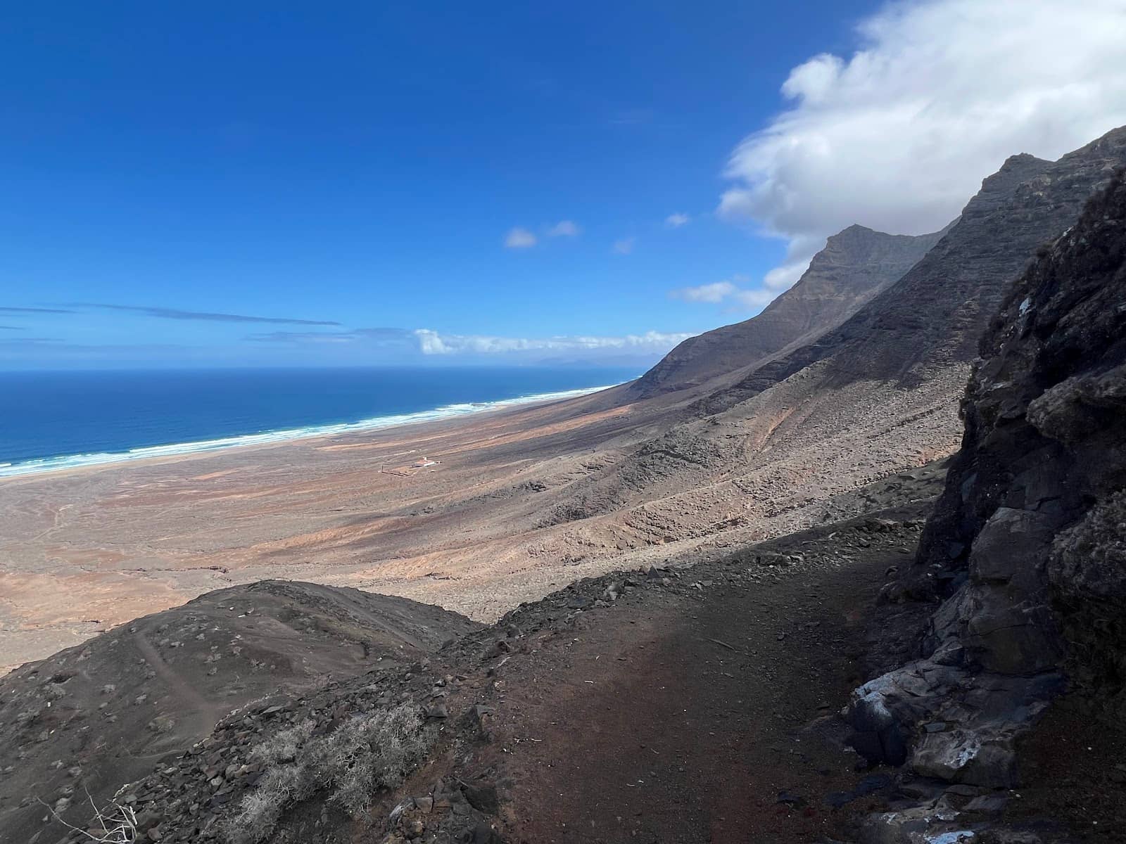 Encounter Local Wildlife