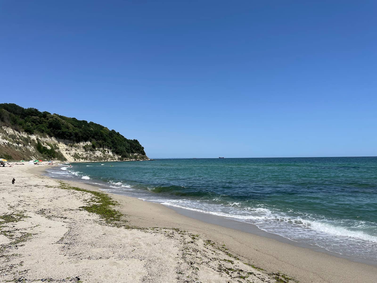 Natural Coastal Beauty