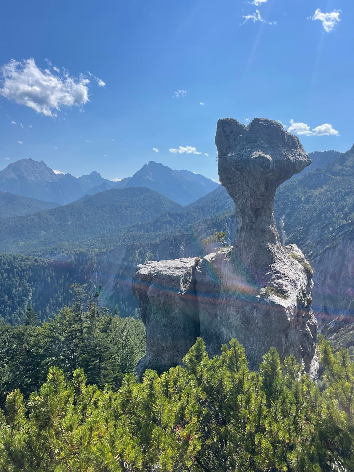 Steinerne Agnes - Image 1