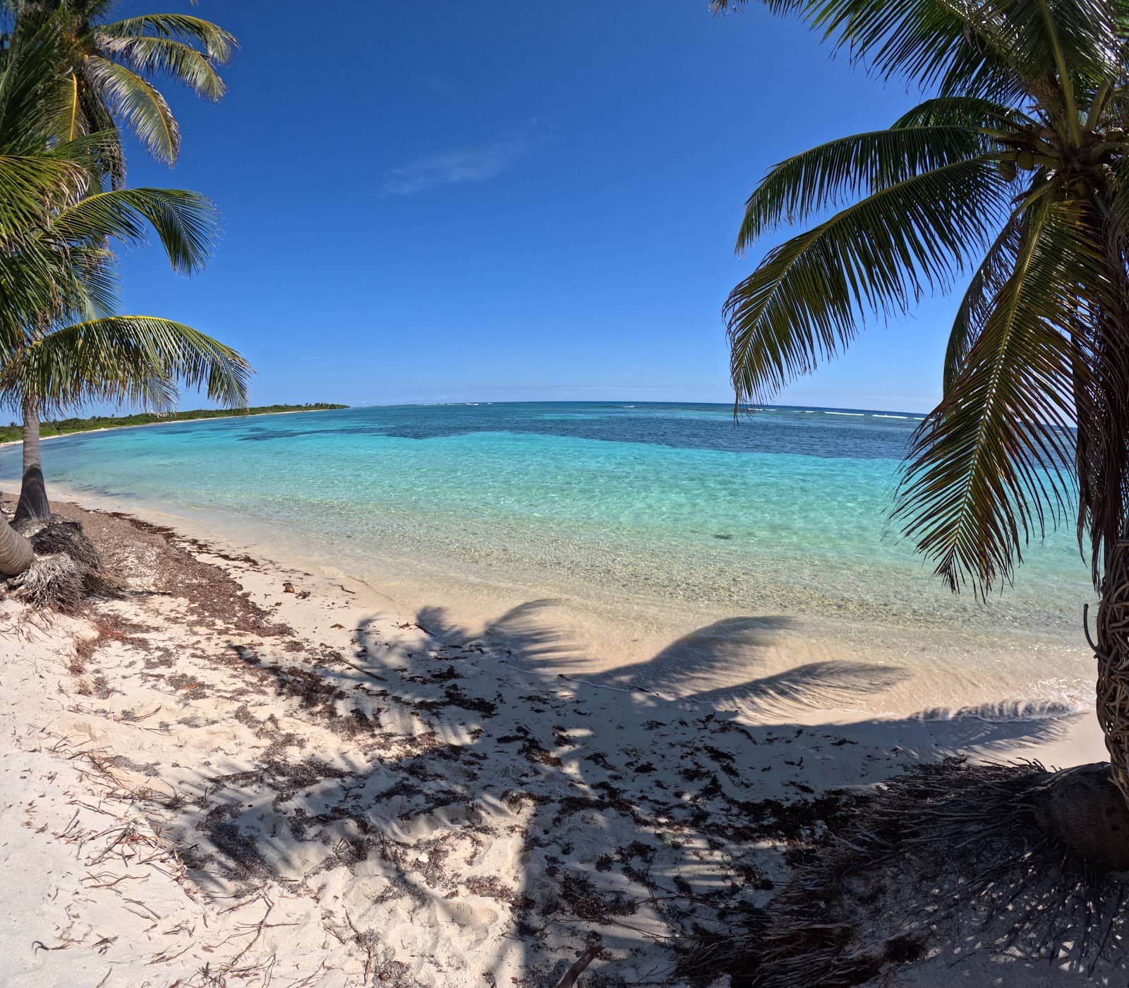 Snorkeling and Kayaking