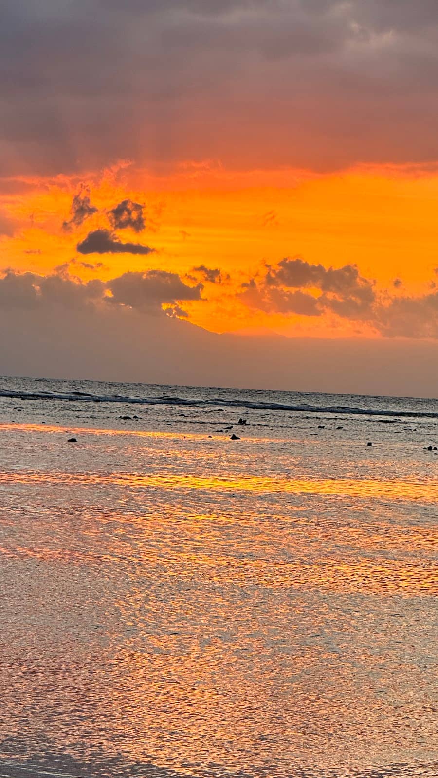 Sunset Tree Photo Op