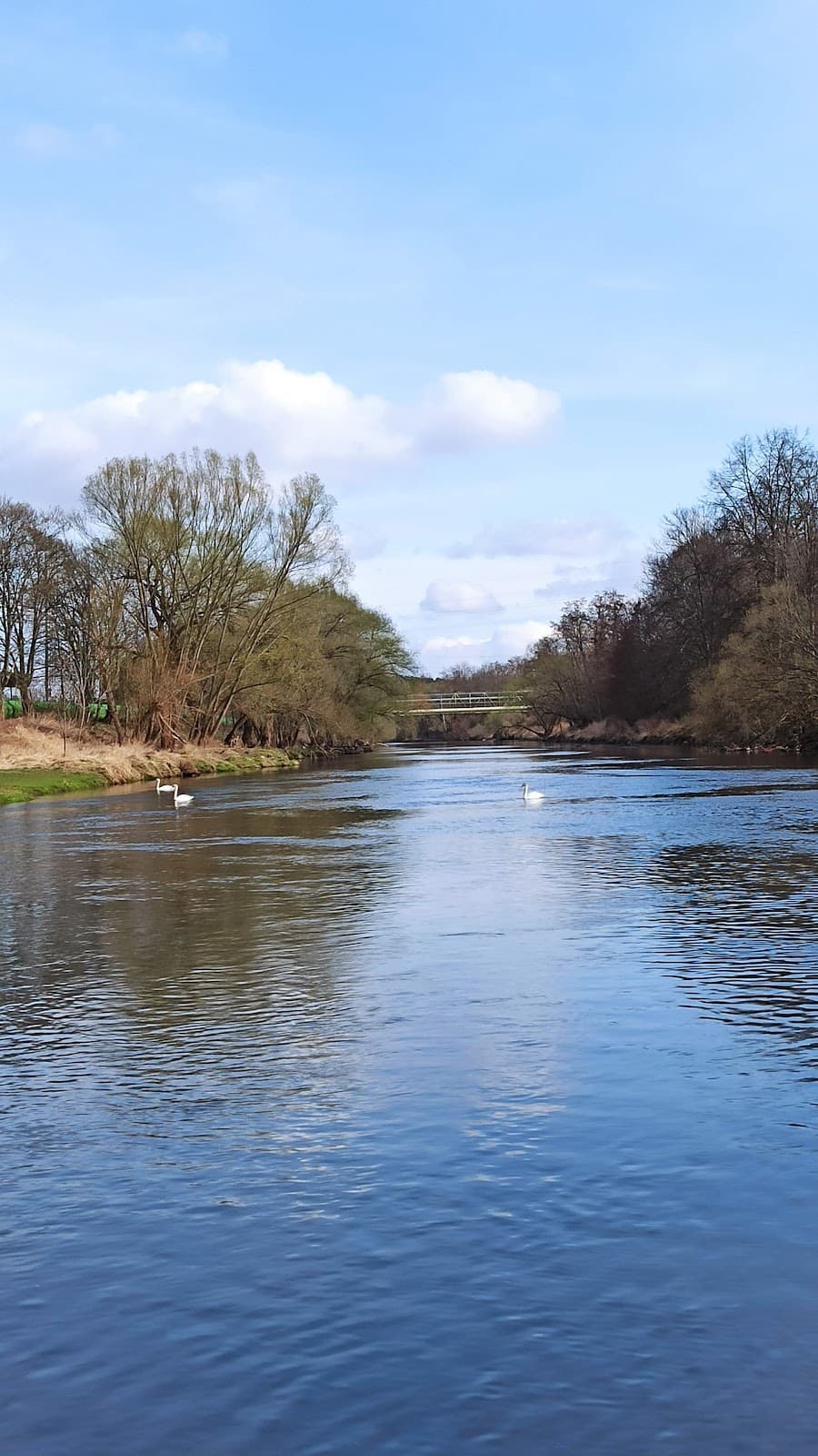 Štruncovy sady Plzeň - Image 1