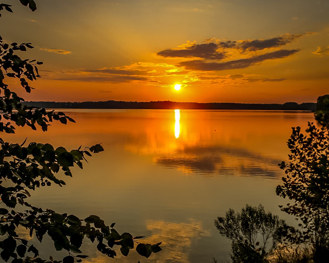 Old Reedy Creek Road Trailhead - Image 1