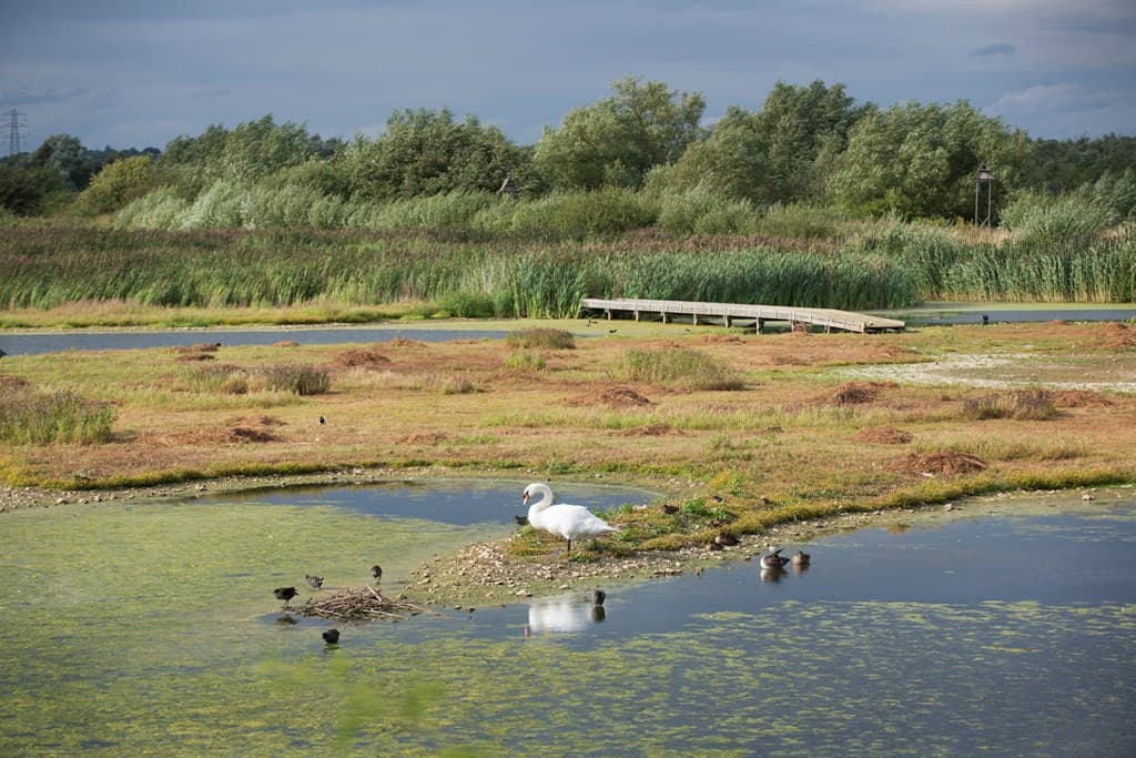 Rye Meads RSPB - Image 1