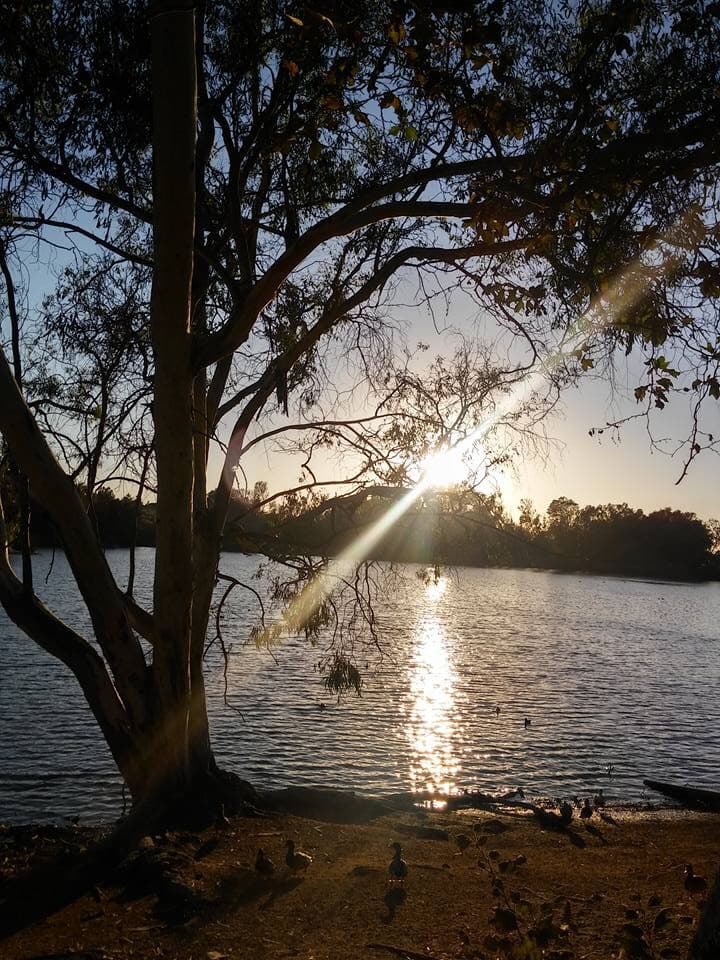 Centennial Park - Image 1