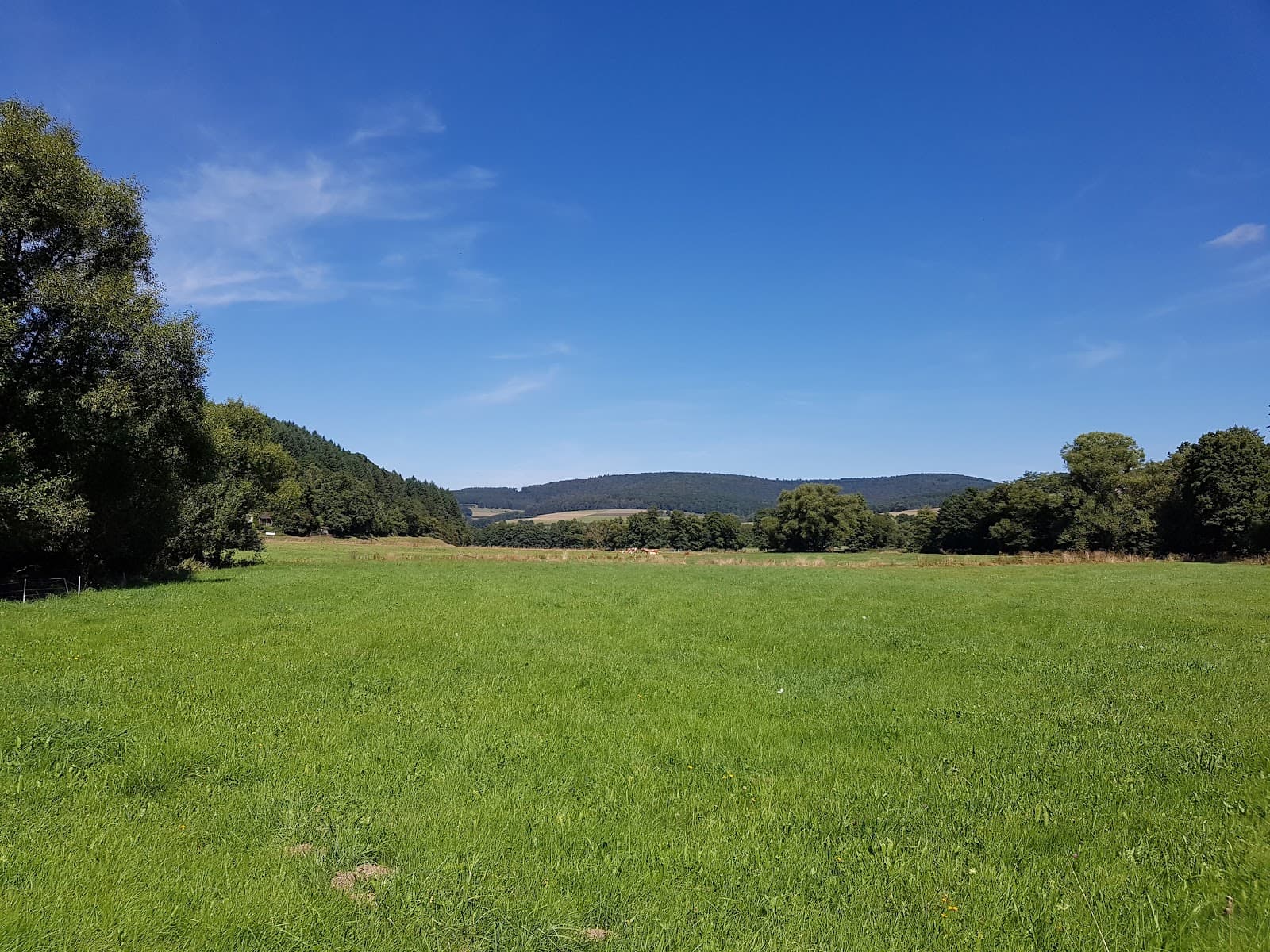 Spessart Nature Park - Image 1