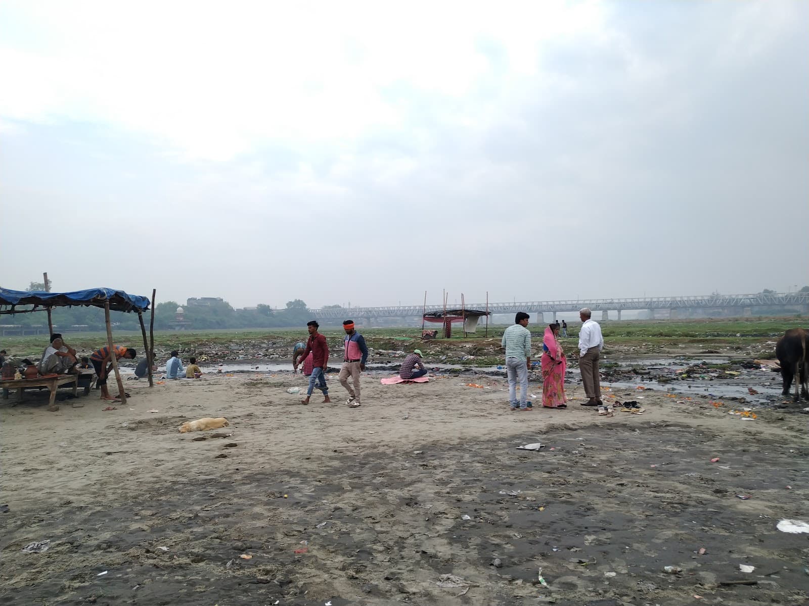 Old Yamuna Bridge - Image 1