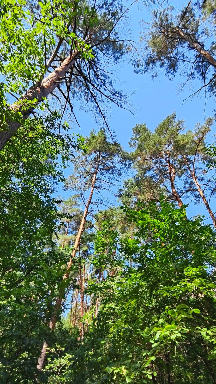 Vertical photo