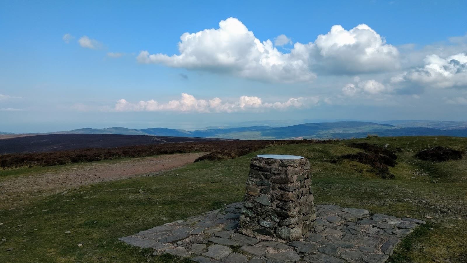 Dunkery and Horner Wood National Nature Reserve - Image 1