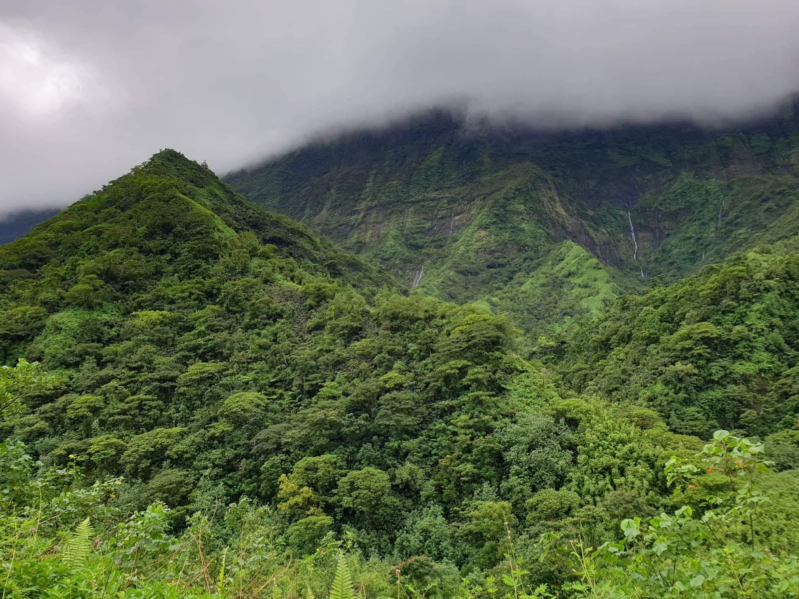 Papenoo Valley 4x4 Route - Image 1