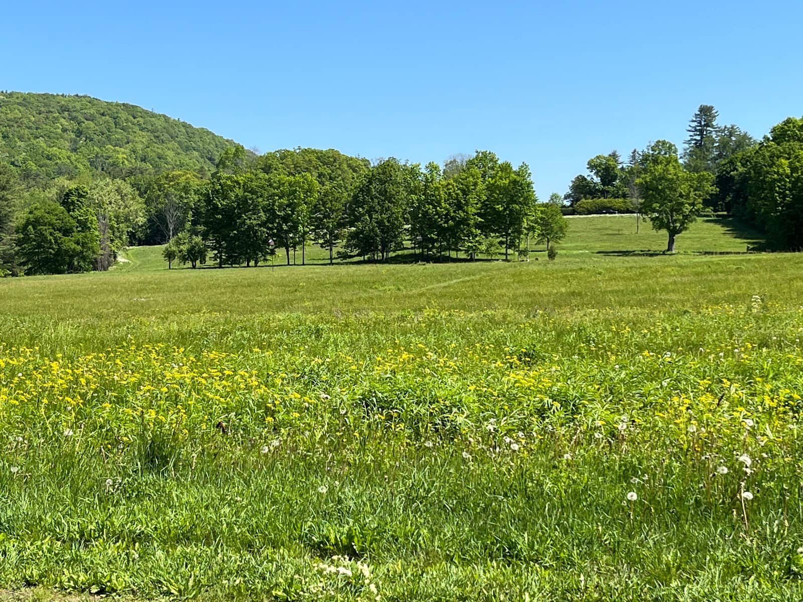 Interconnecting Wilderness Trails