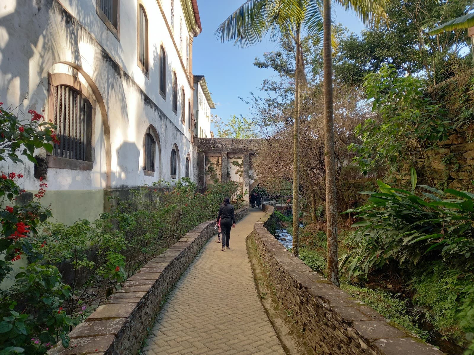 Parque Horto dos Contos Ouro Preto - Image 1